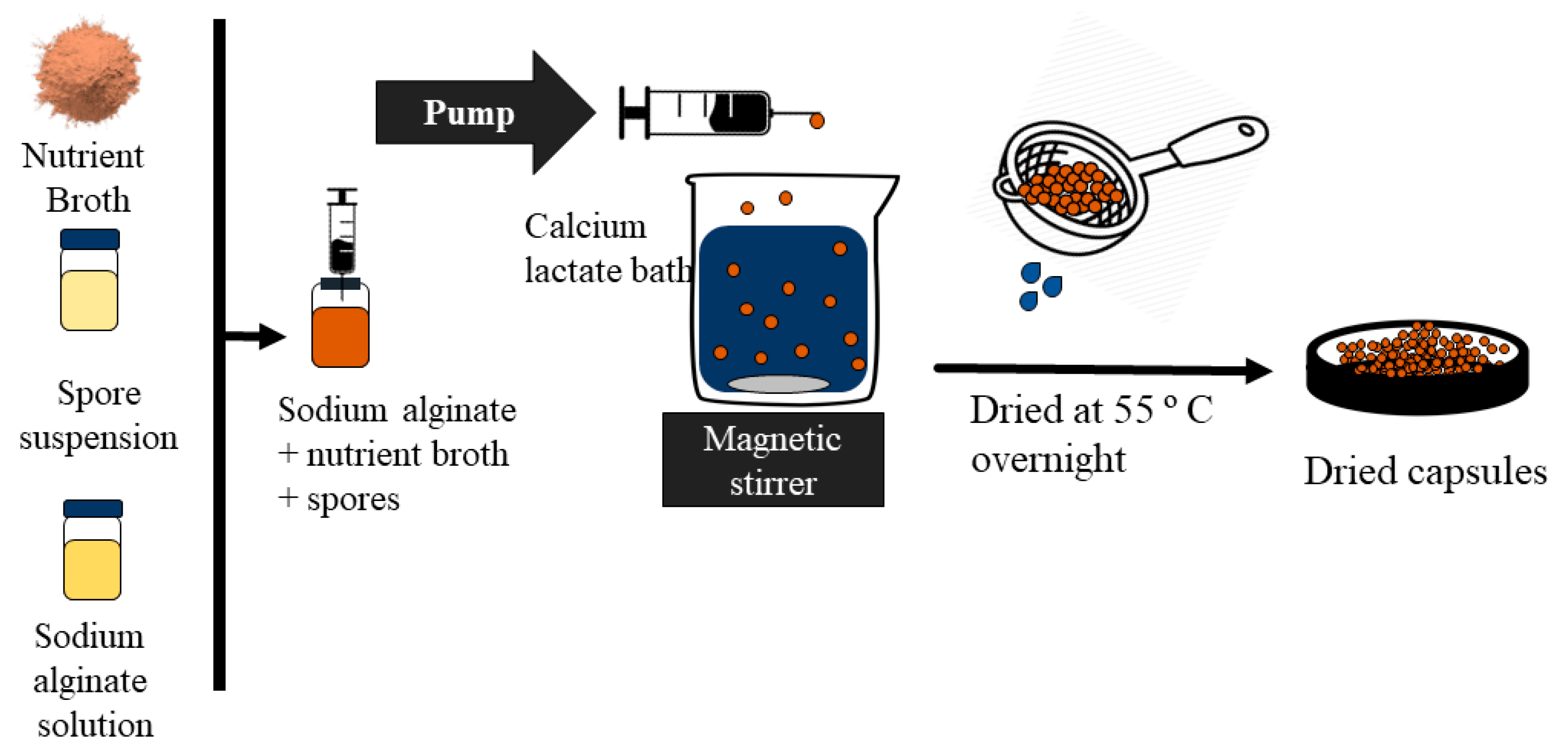 Materials 13 03711 g001