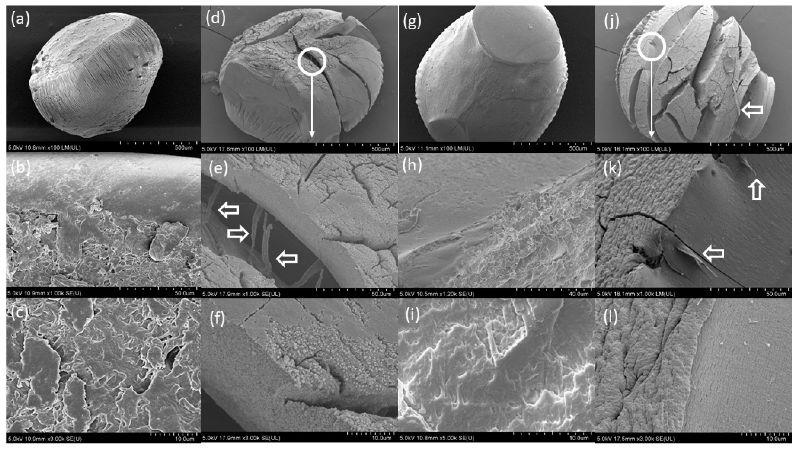 Materials 13 03711 g005