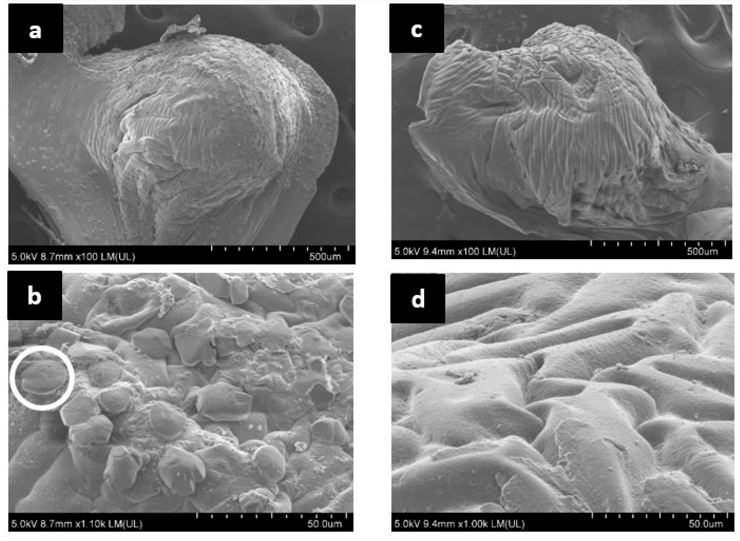 Materials 13 03711 g007