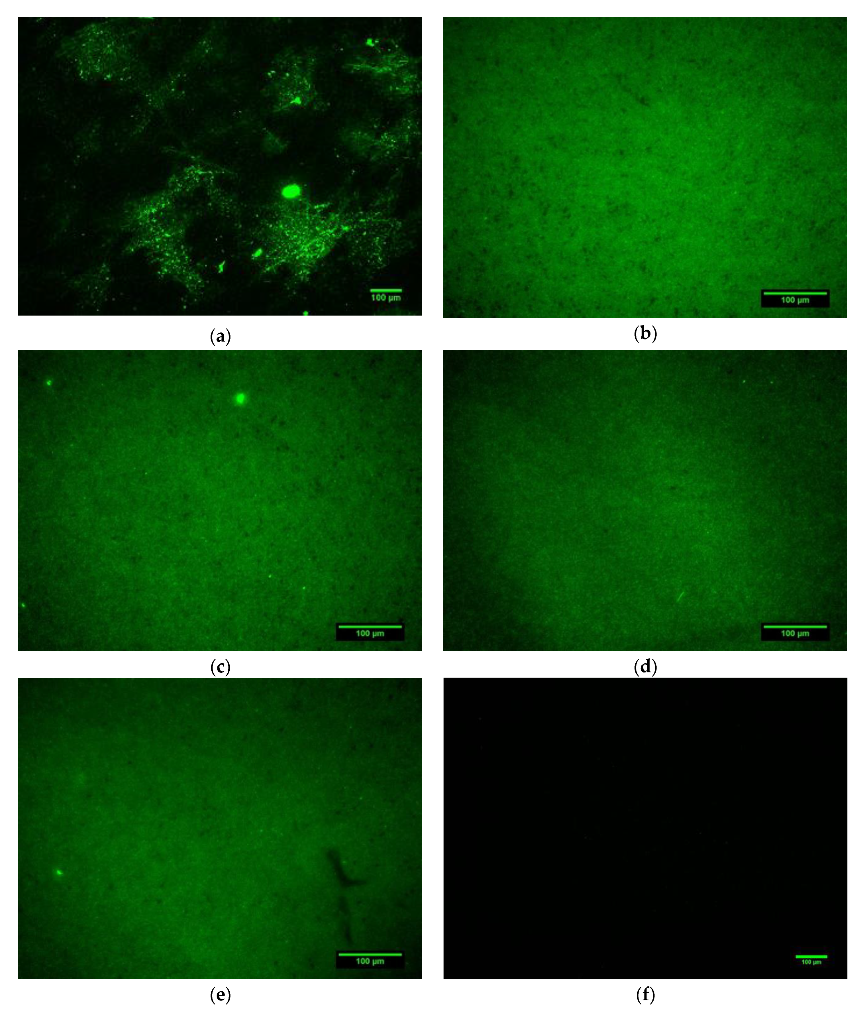 Materials 13 03714 g004 Materials 13 03714 g004