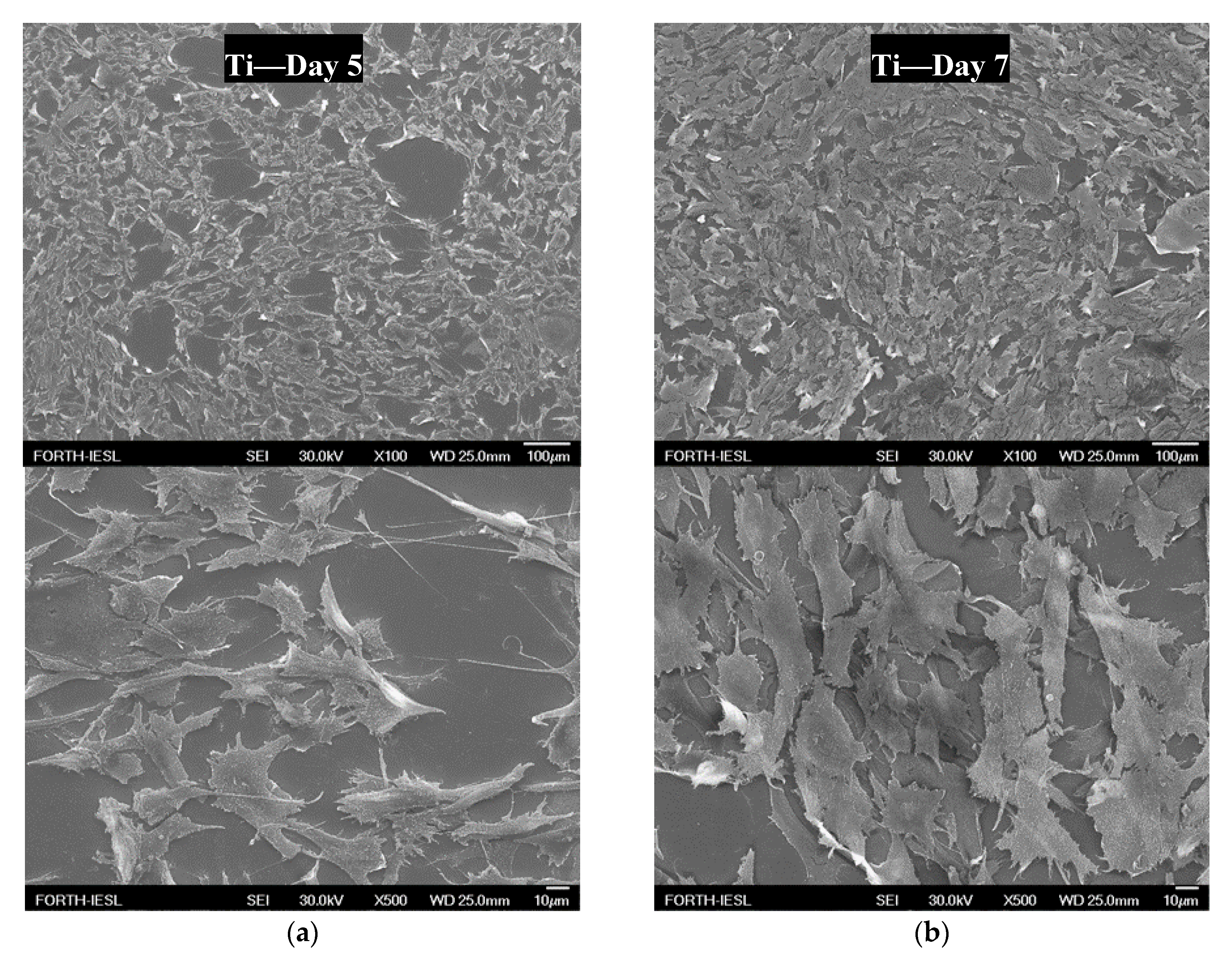 Materials 13 03714 g008a Materials 13 03714 g008a