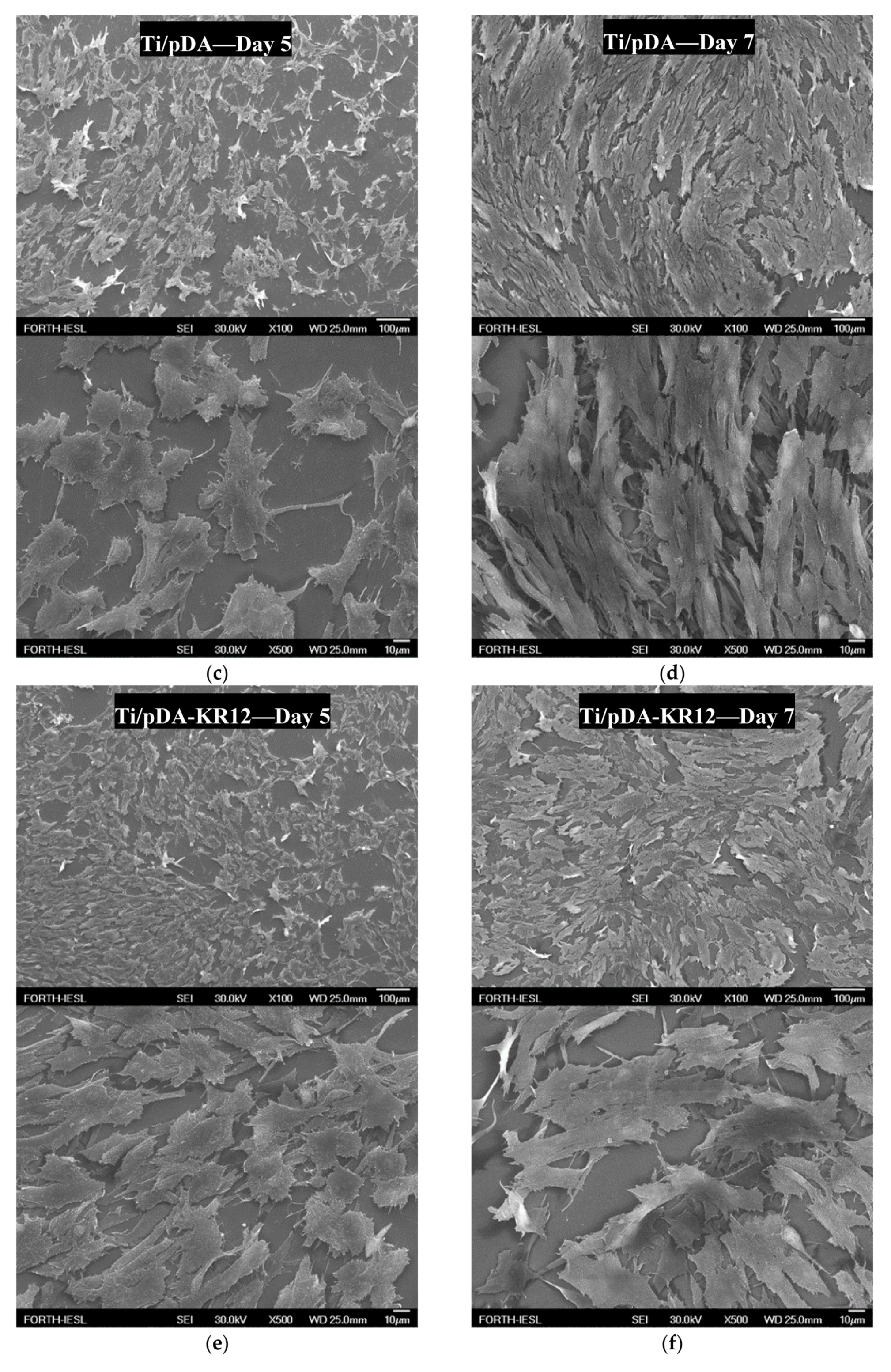 Materials 13 03714 g008b Materials 13 03714 g008b