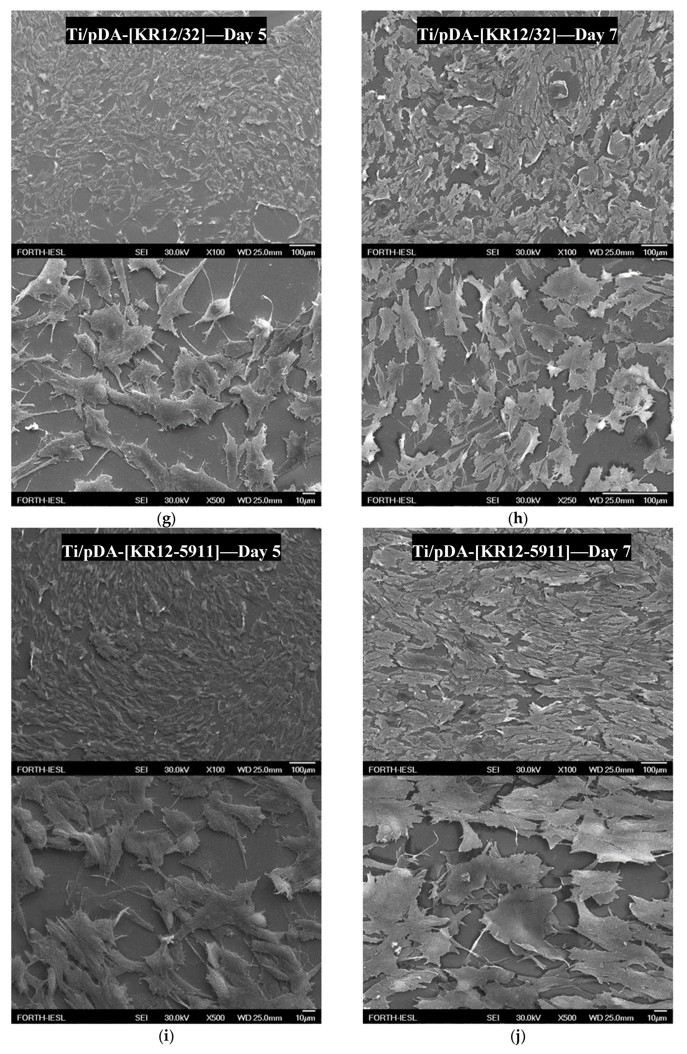 Materials 13 03714 g008c Materials 13 03714 g008c