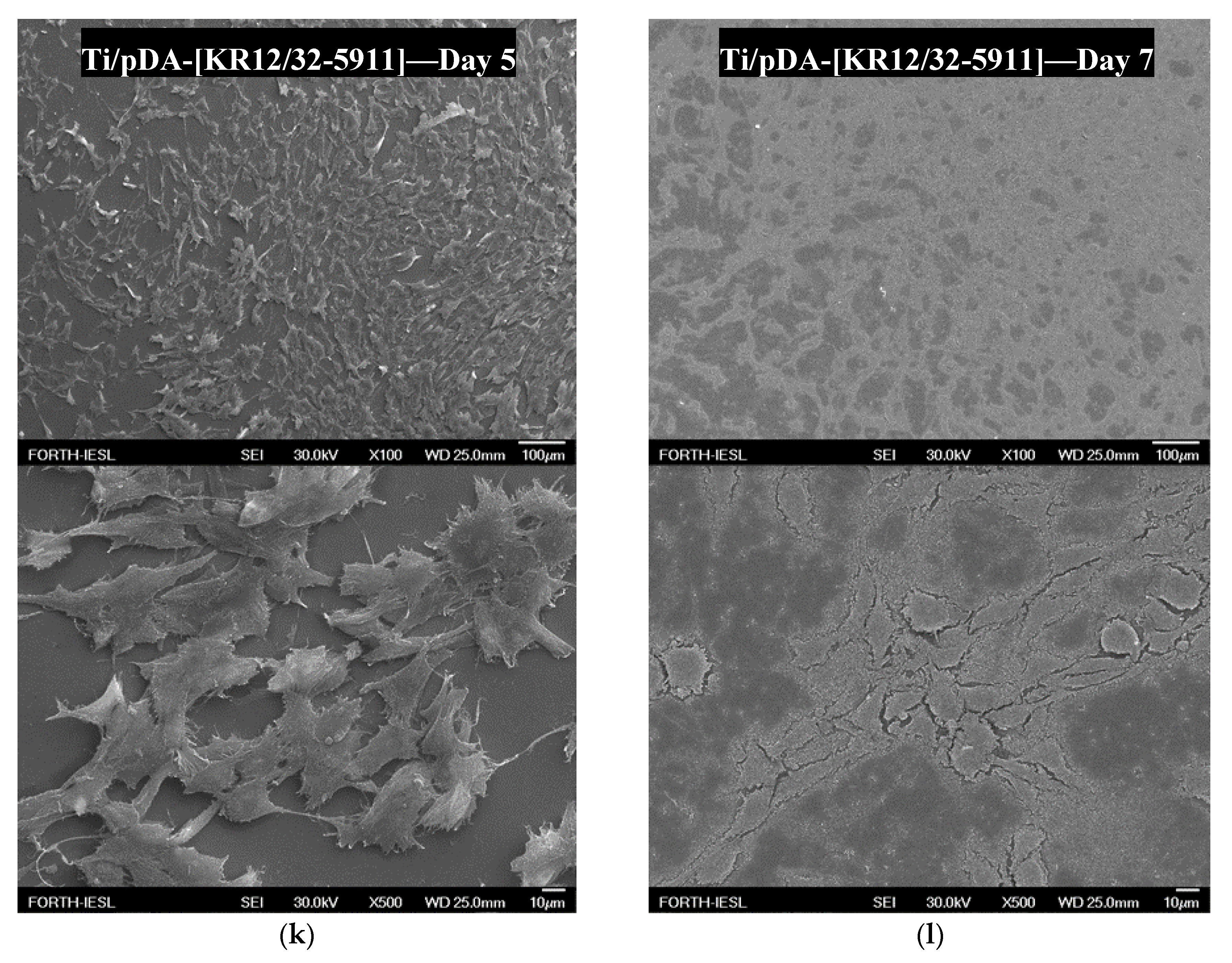 Materials 13 03714 g008d Materials 13 03714 g008d
