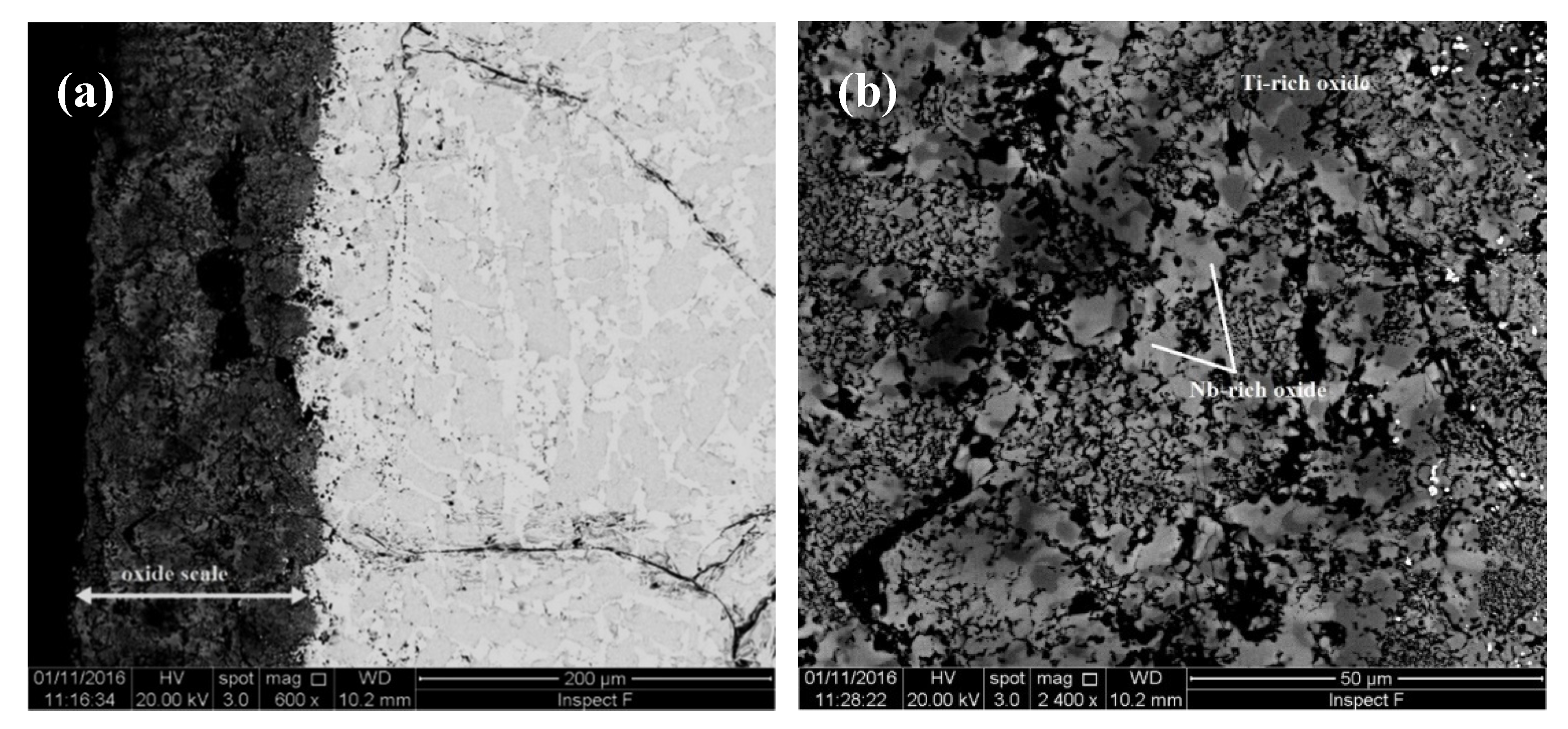 Materials 13 03719 g010a