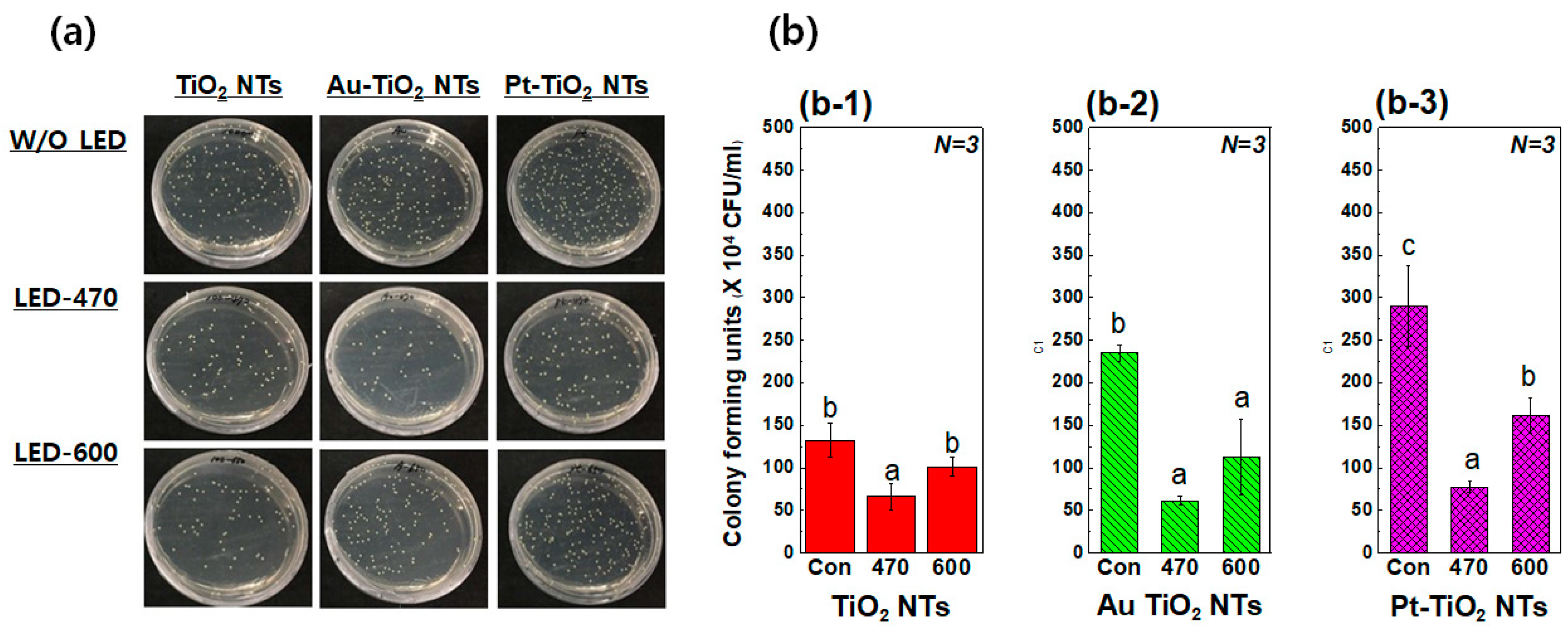 Materials 13 03721 g005