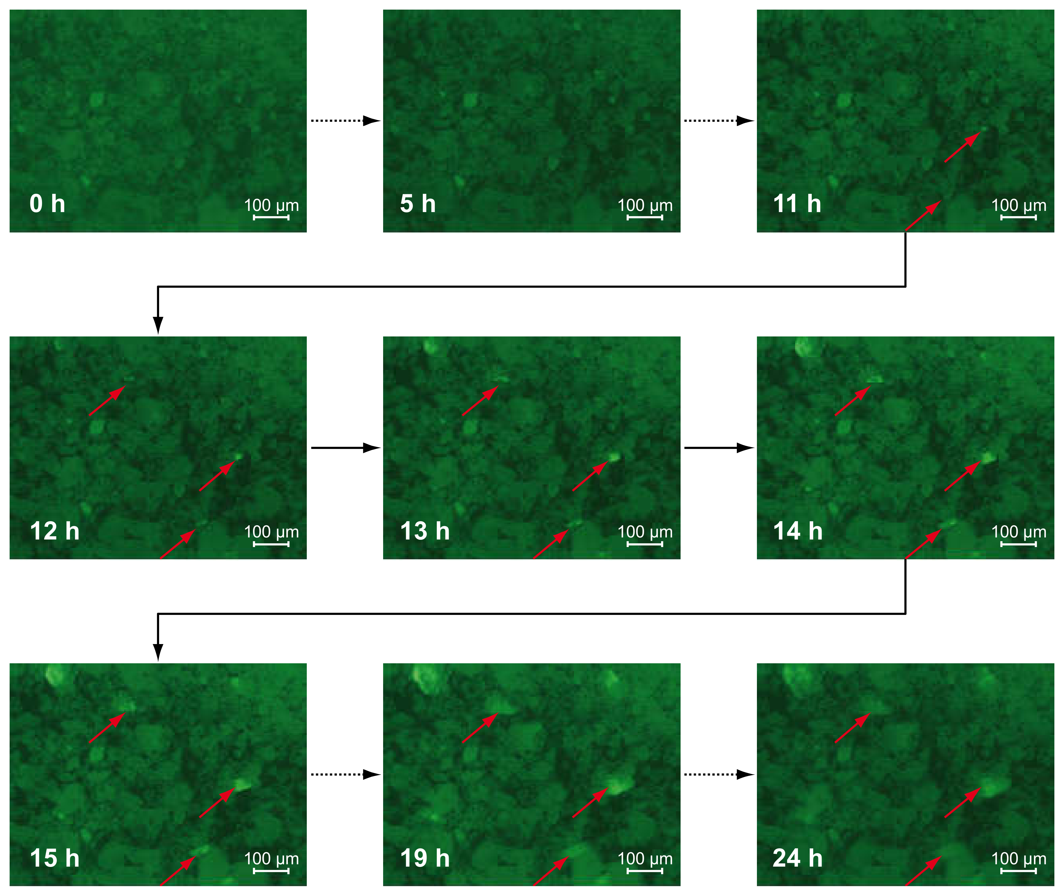 Materials 13 03733 g002 Materials 13 03733 g002