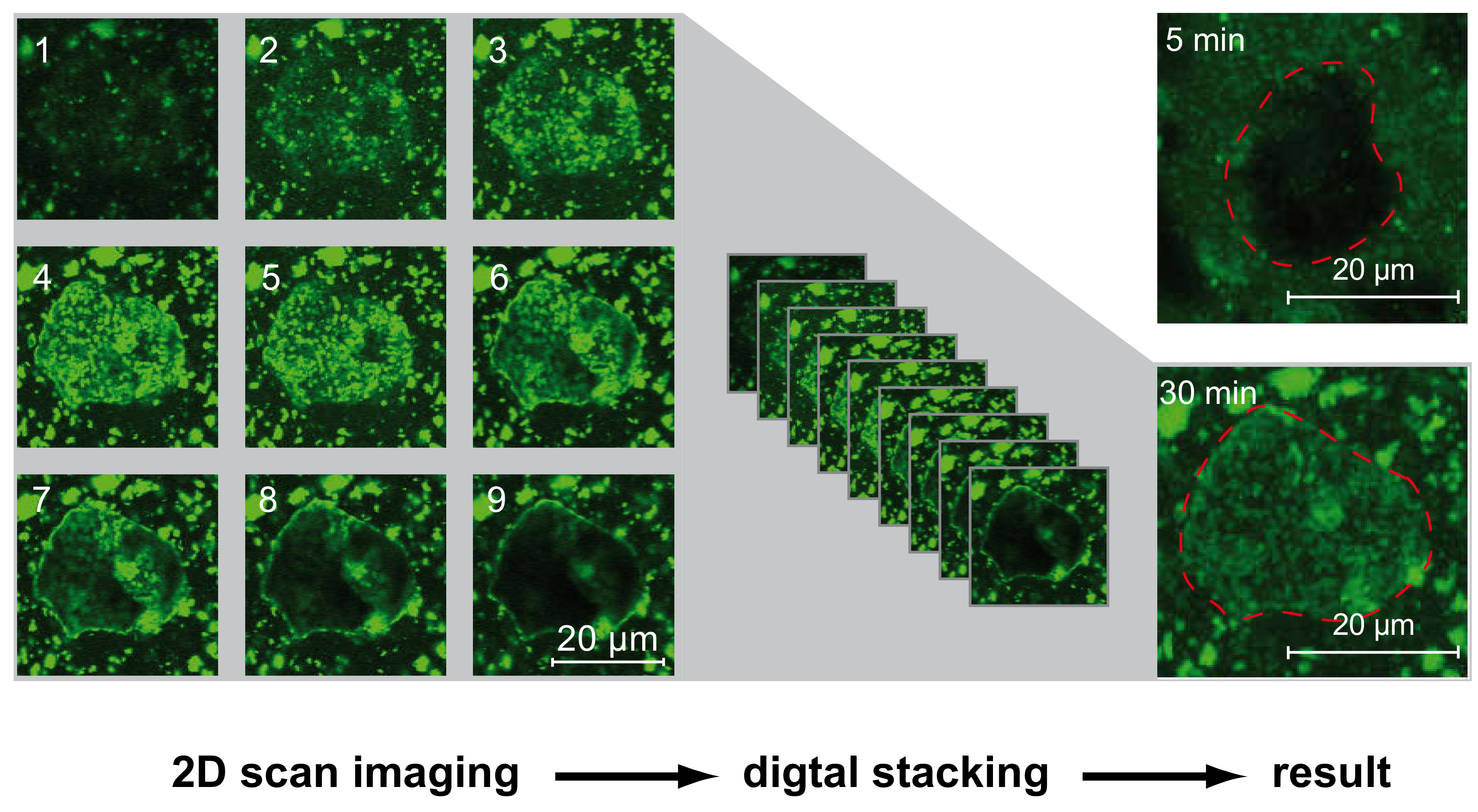 Materials 13 03733 g011 Materials 13 03733 g011
