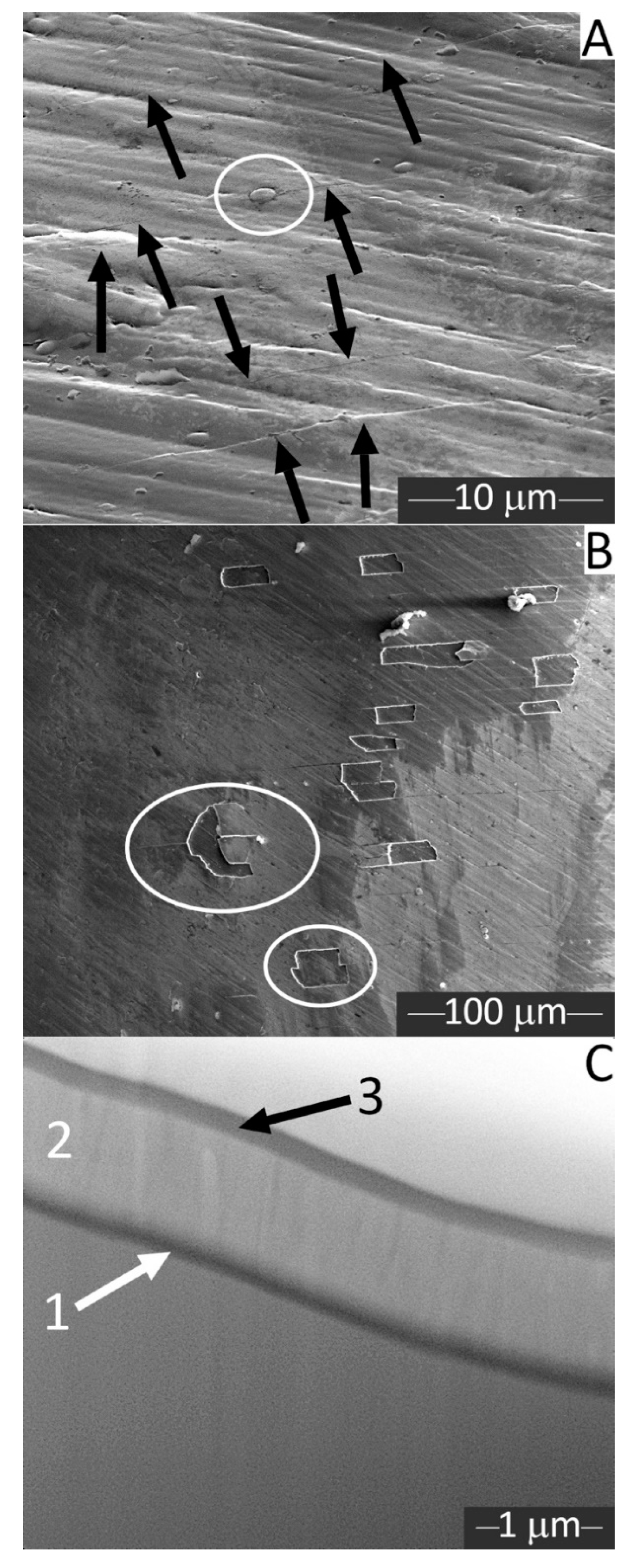 Materials 13 03736 g004 Materials 13 03736 g004