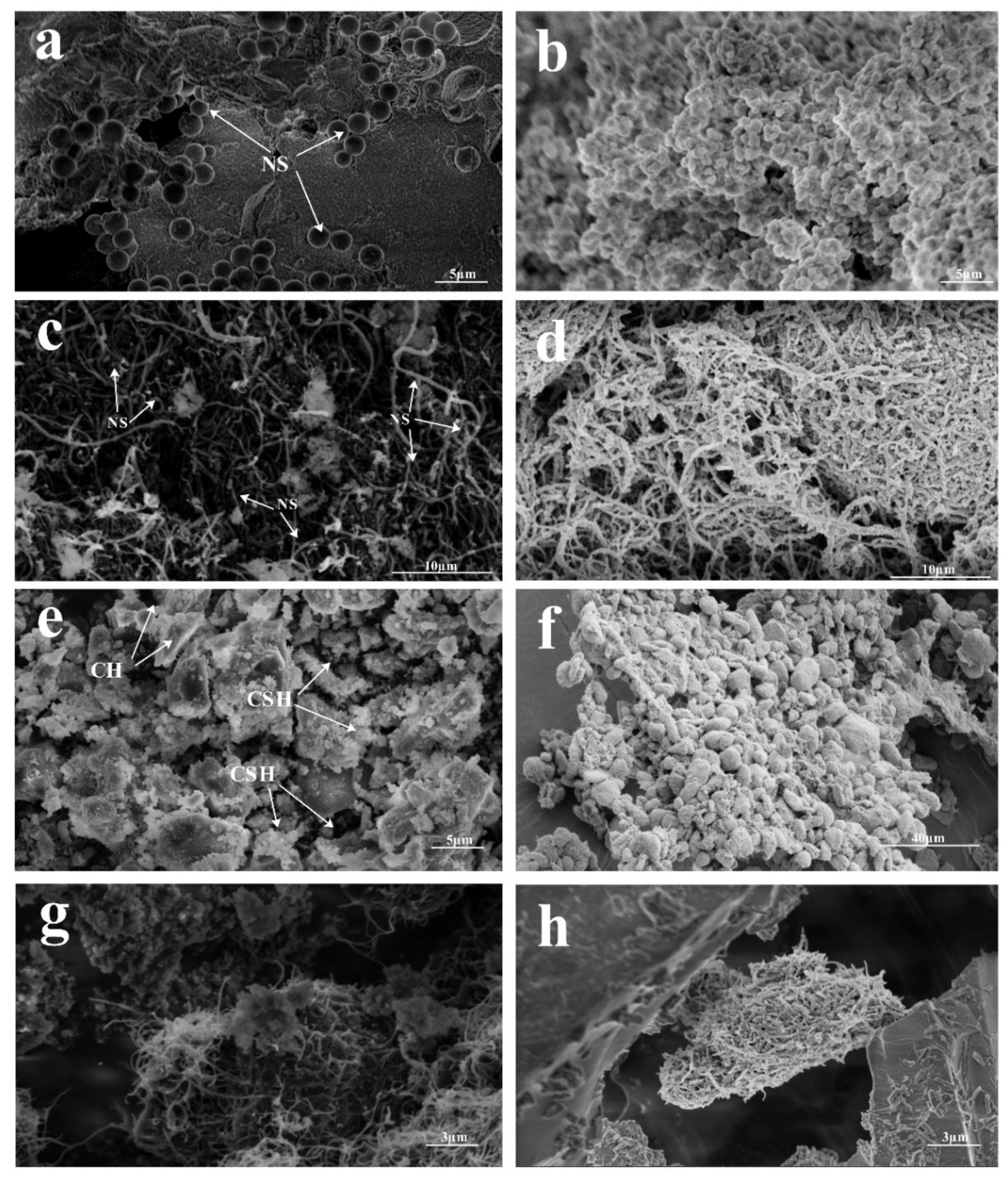 Materials 13 03737 g007 Materials 13 03737 g007