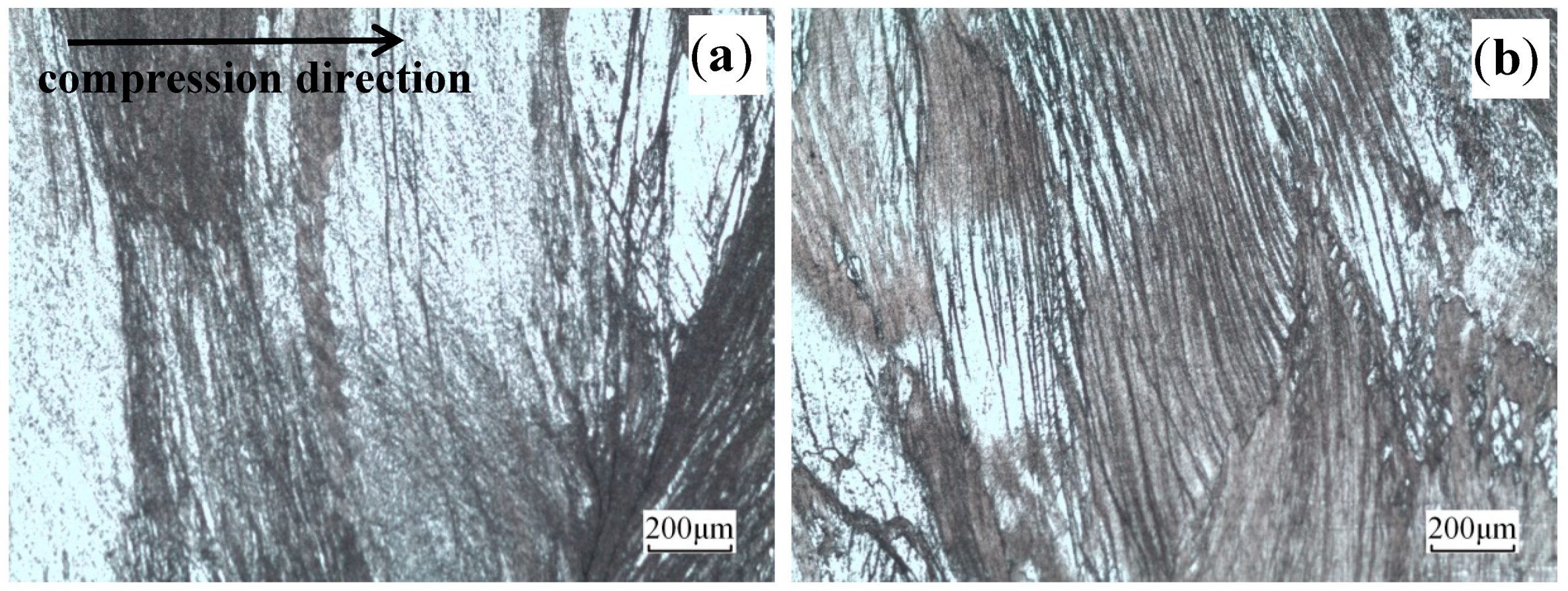 Materials 13 03739 g004 550