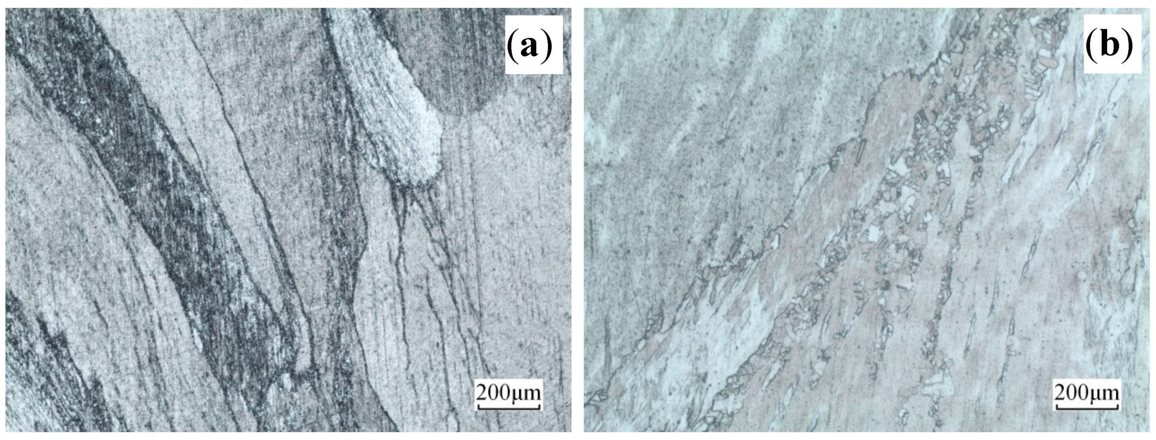 Materials 13 03739 g005 550