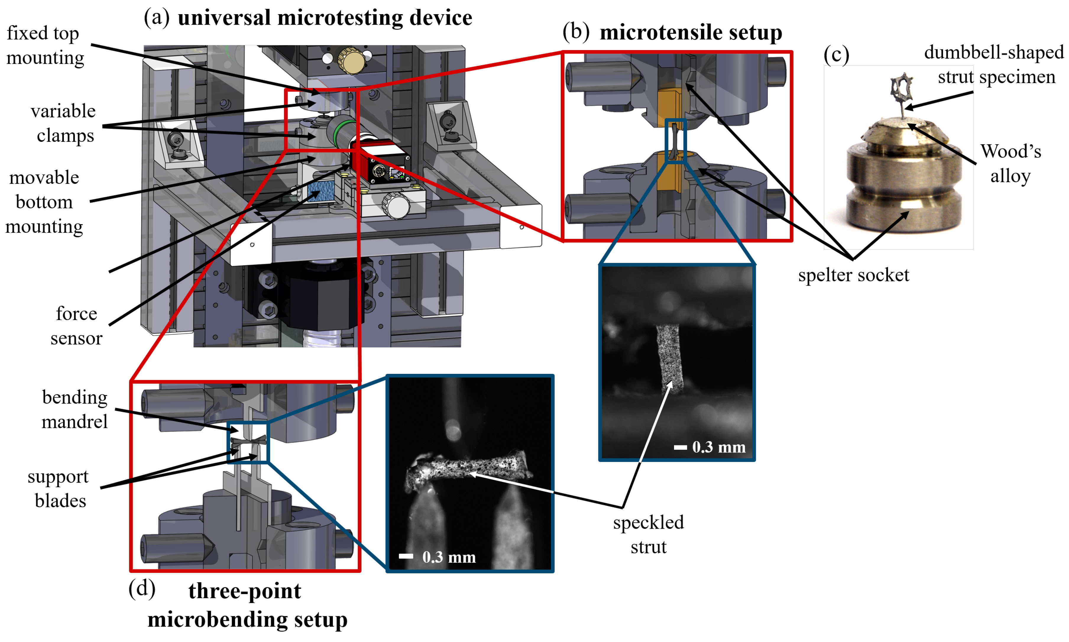 Materials 13 03746 g001