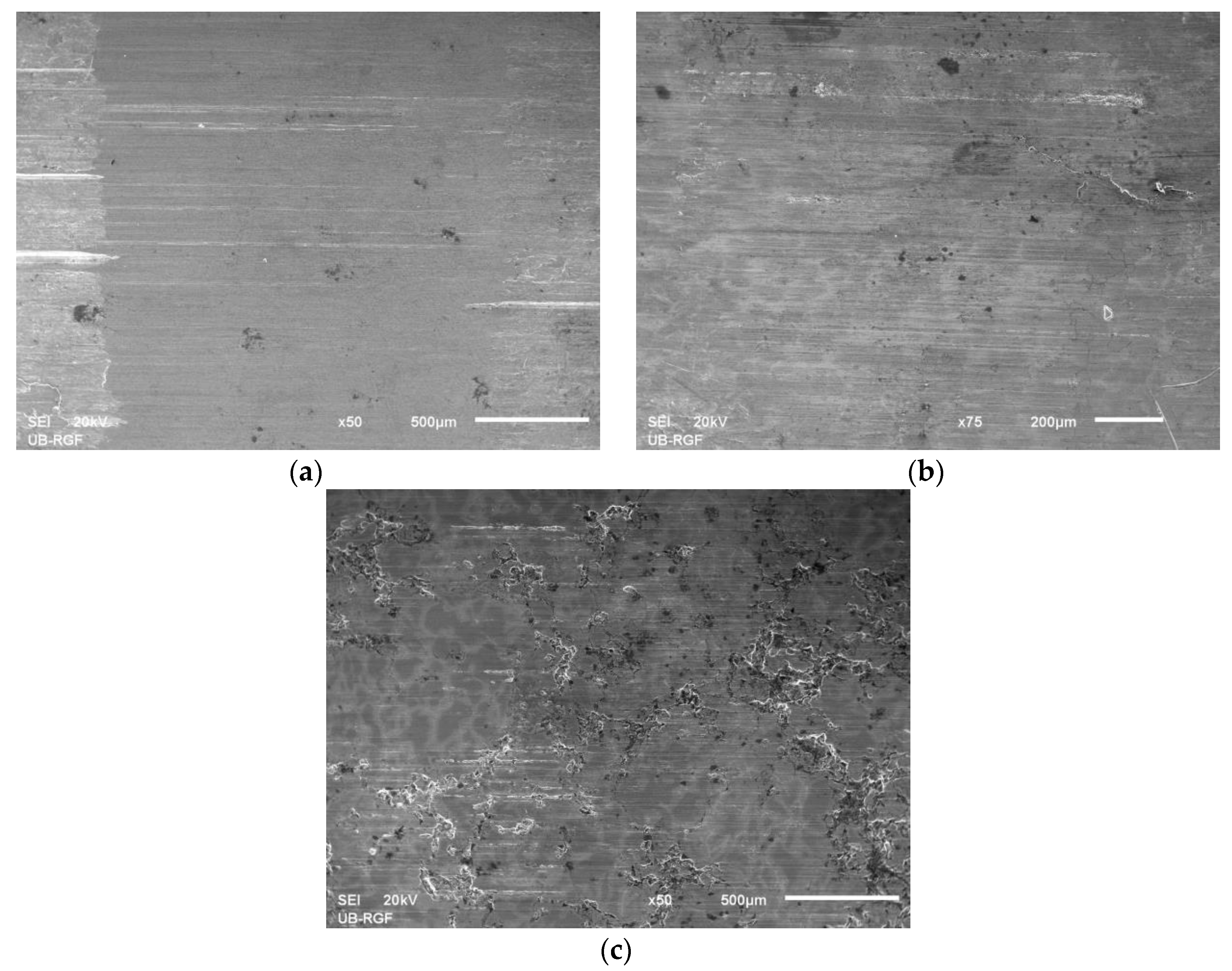 Materials 13 03752 g008