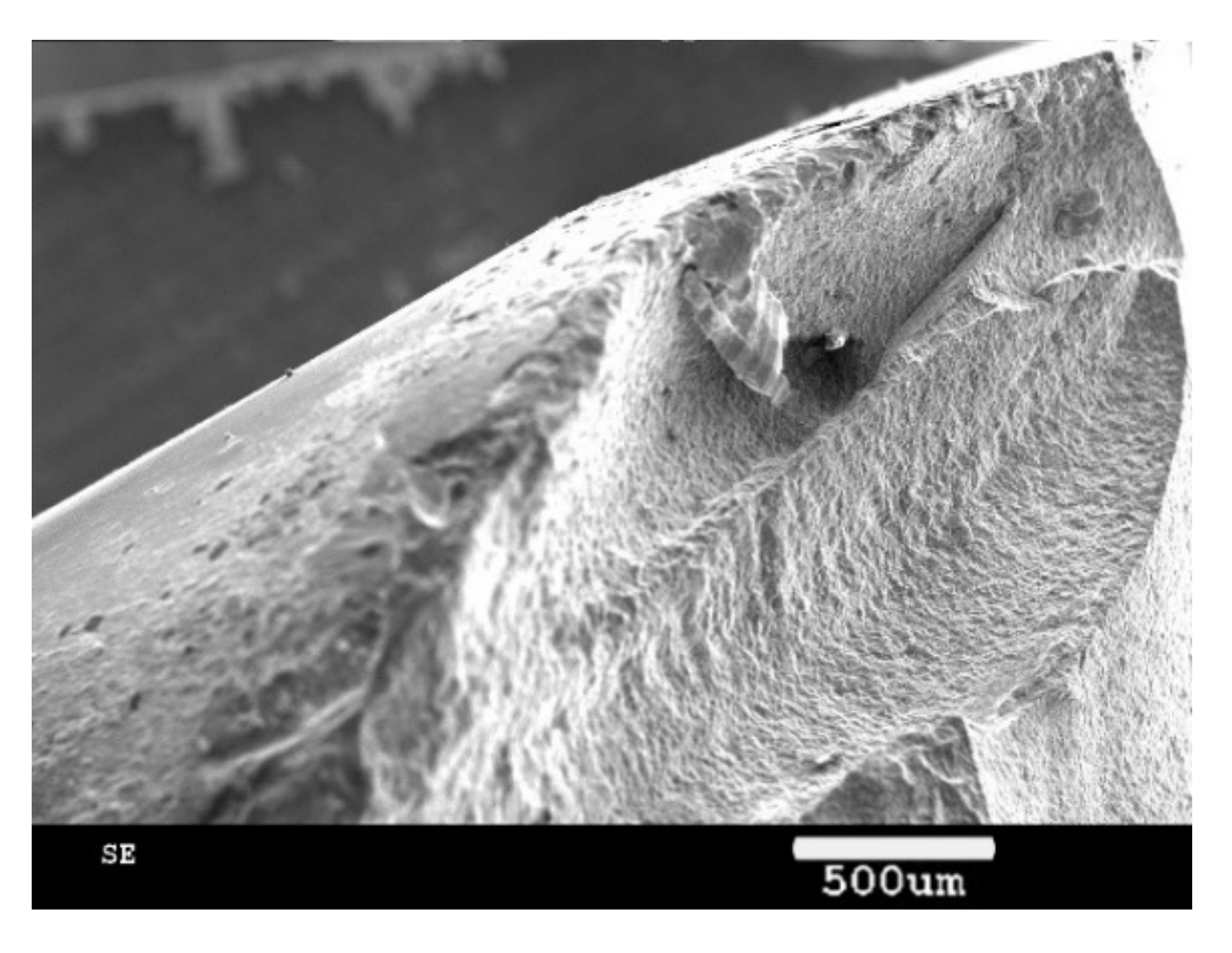 Materials 13 03758 g018 Materials 13 03758 g018