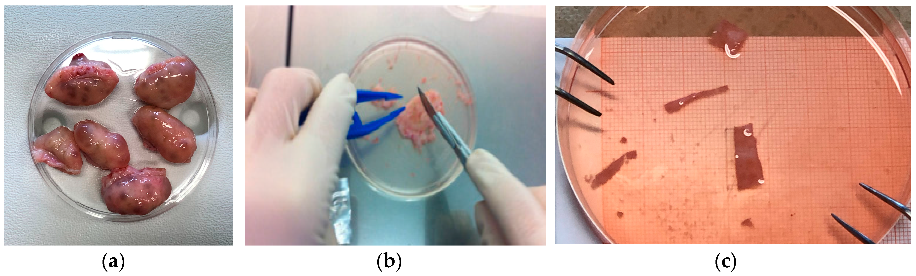 Materials 13 03759 g001