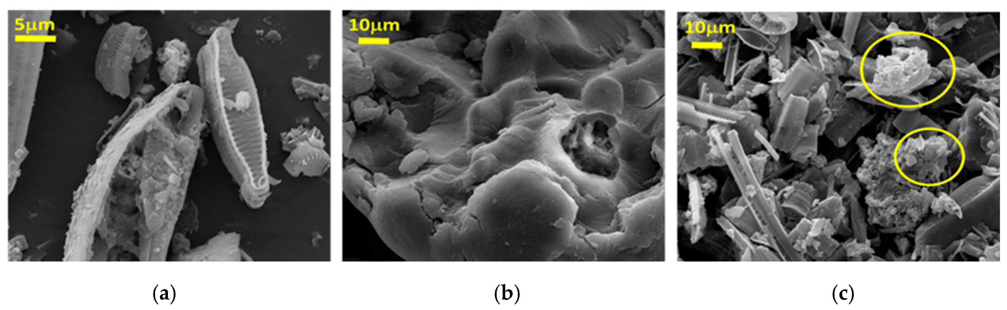 Materials 13 03760 g003