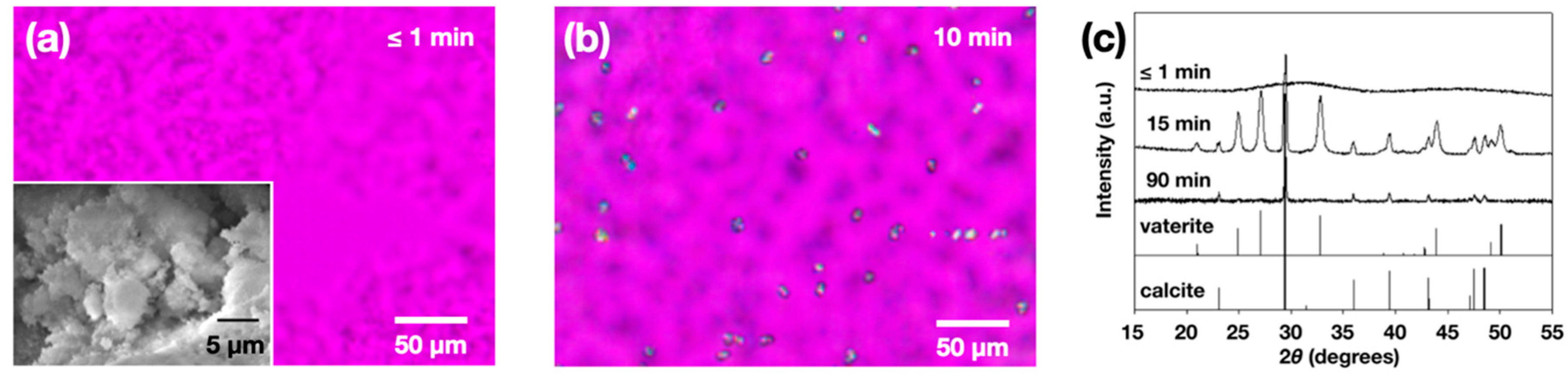 Materials 13 03762 g001 Materials 13 03762 g001