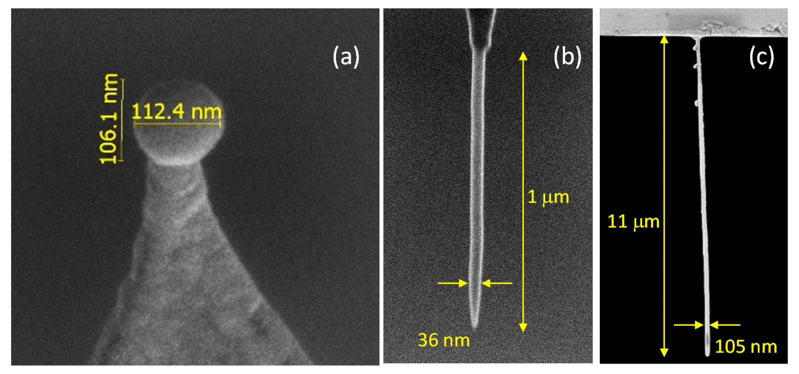 Materials 13 03774 g006