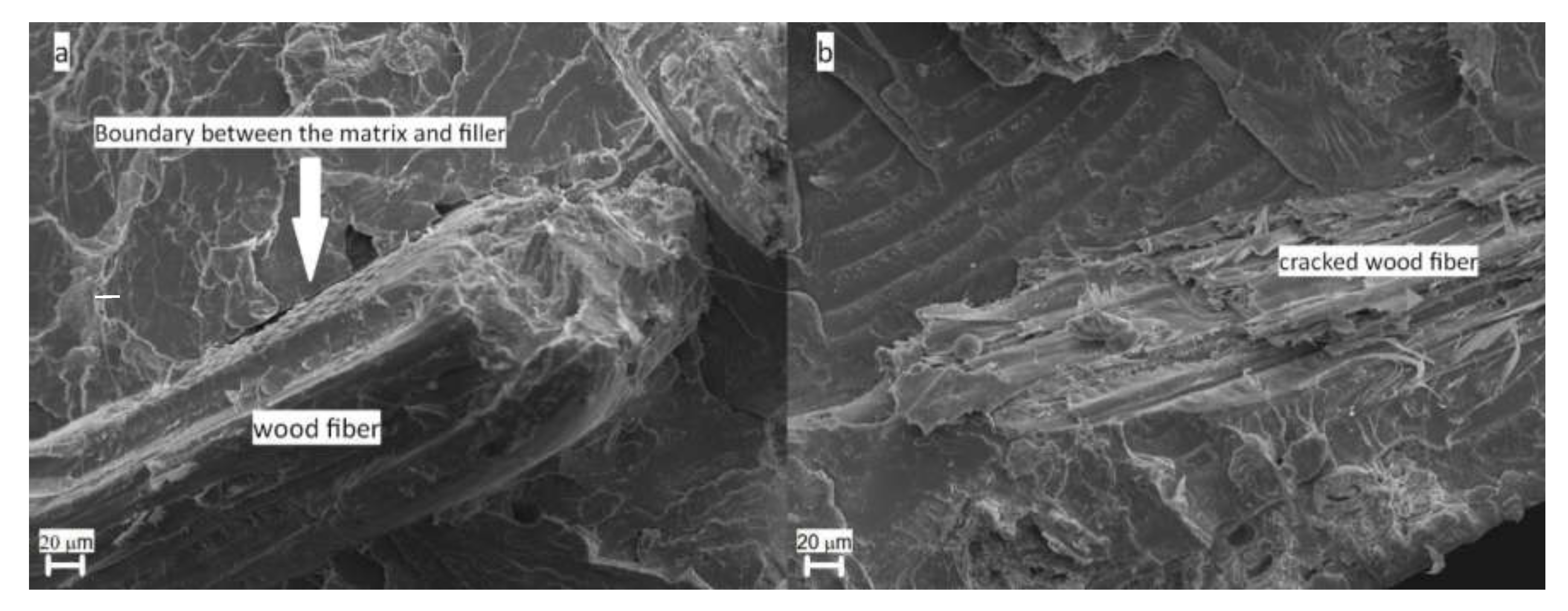 Materials 13 03776 g006 Materials 13 03776 g006