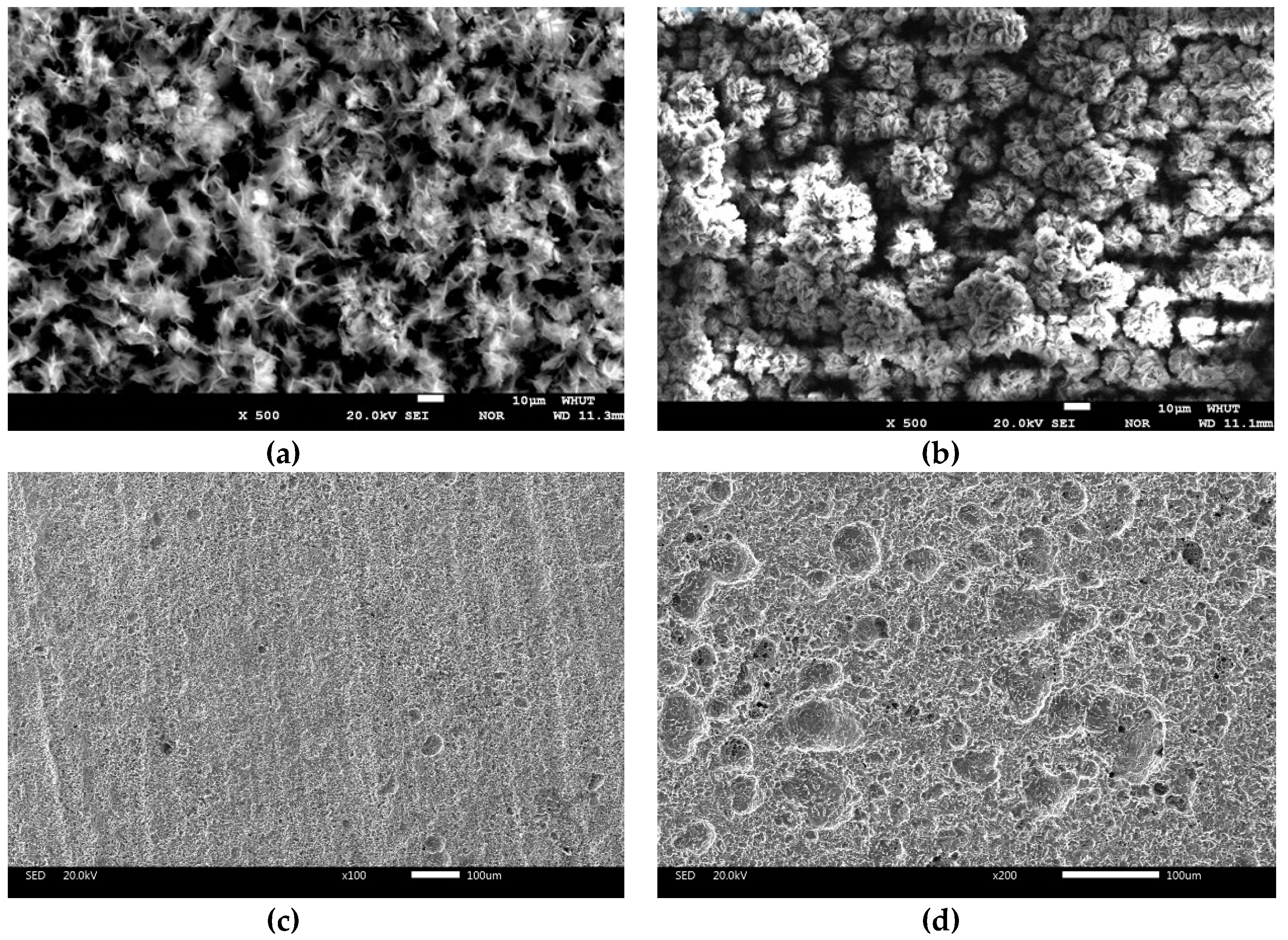 Materials 13 03783 g001 Materials 13 03783 g001