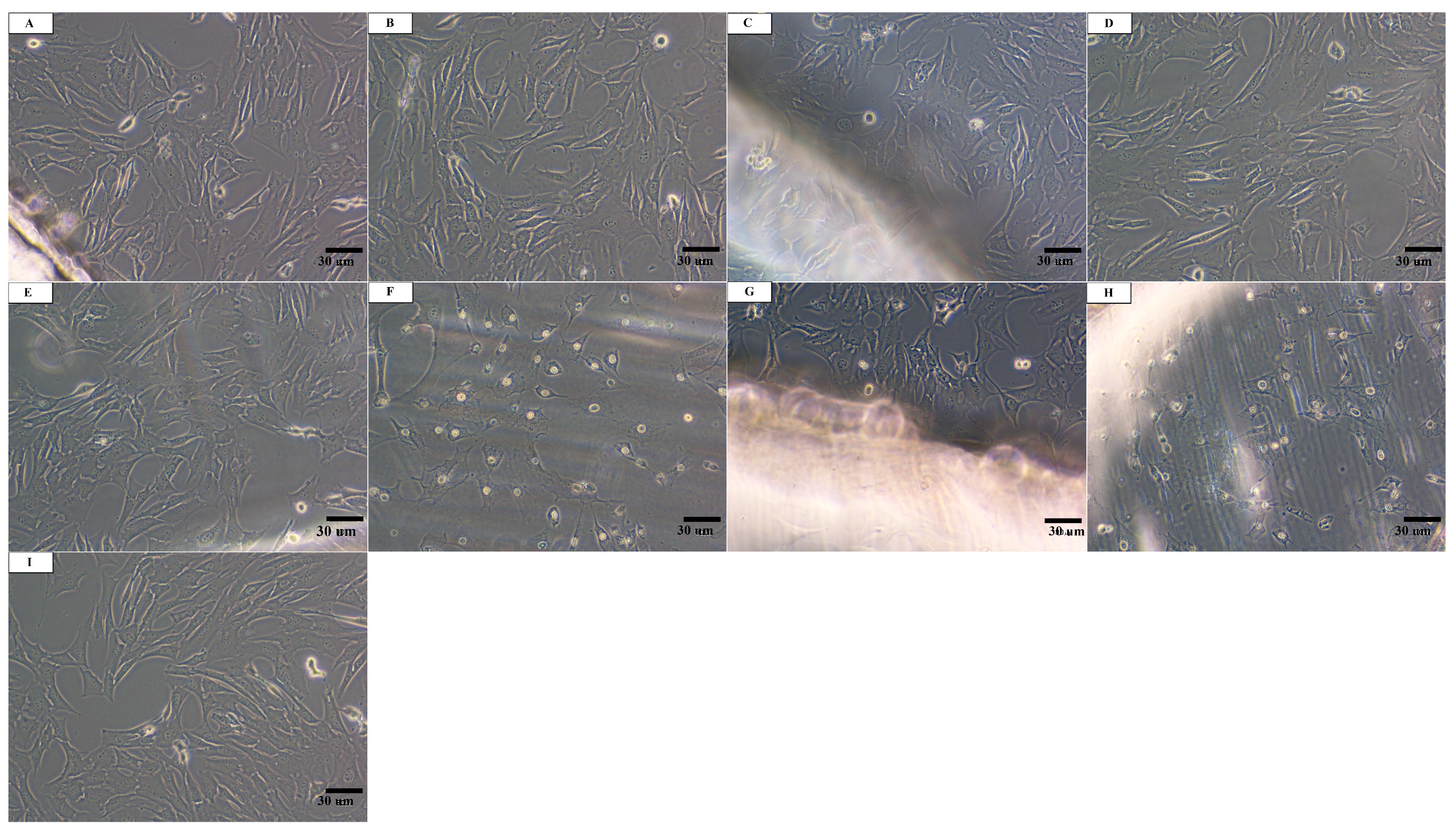 Materials 13 03786 g003 Materials 13 03786 g003