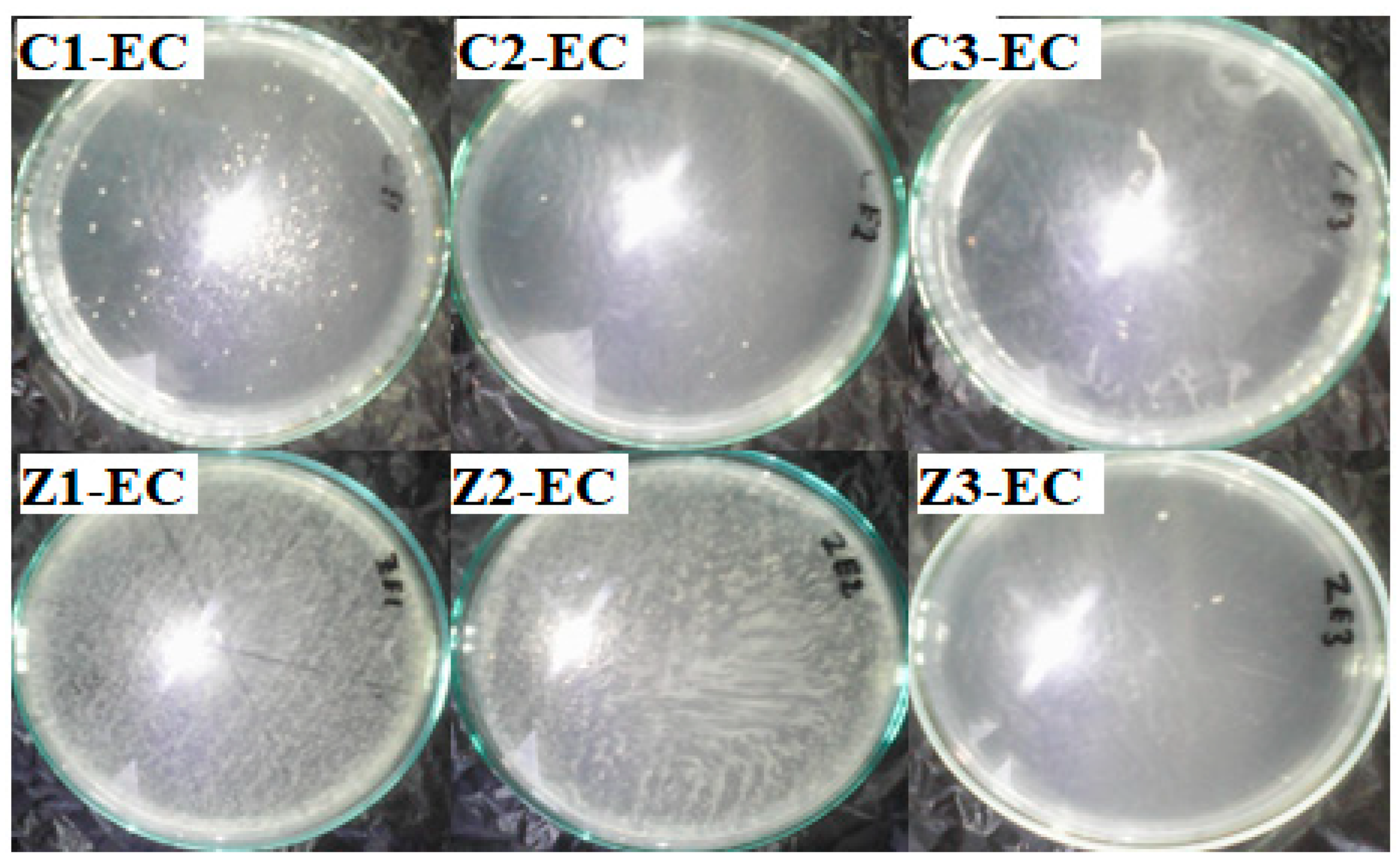 Materials 13 03793 g022 Materials 13 03793 g022