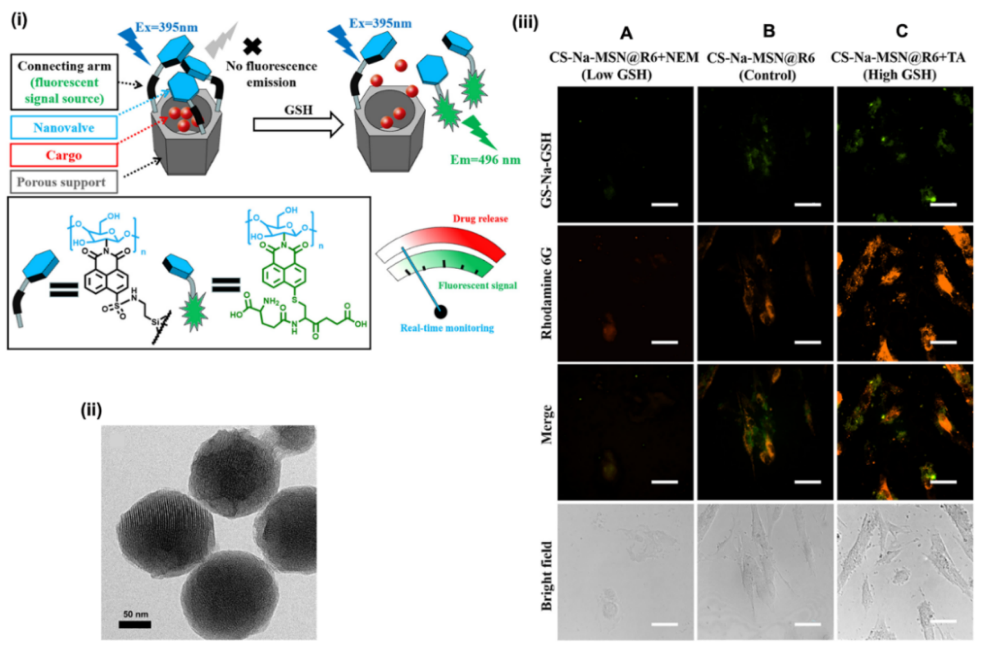 Materials 13 03795 g010
