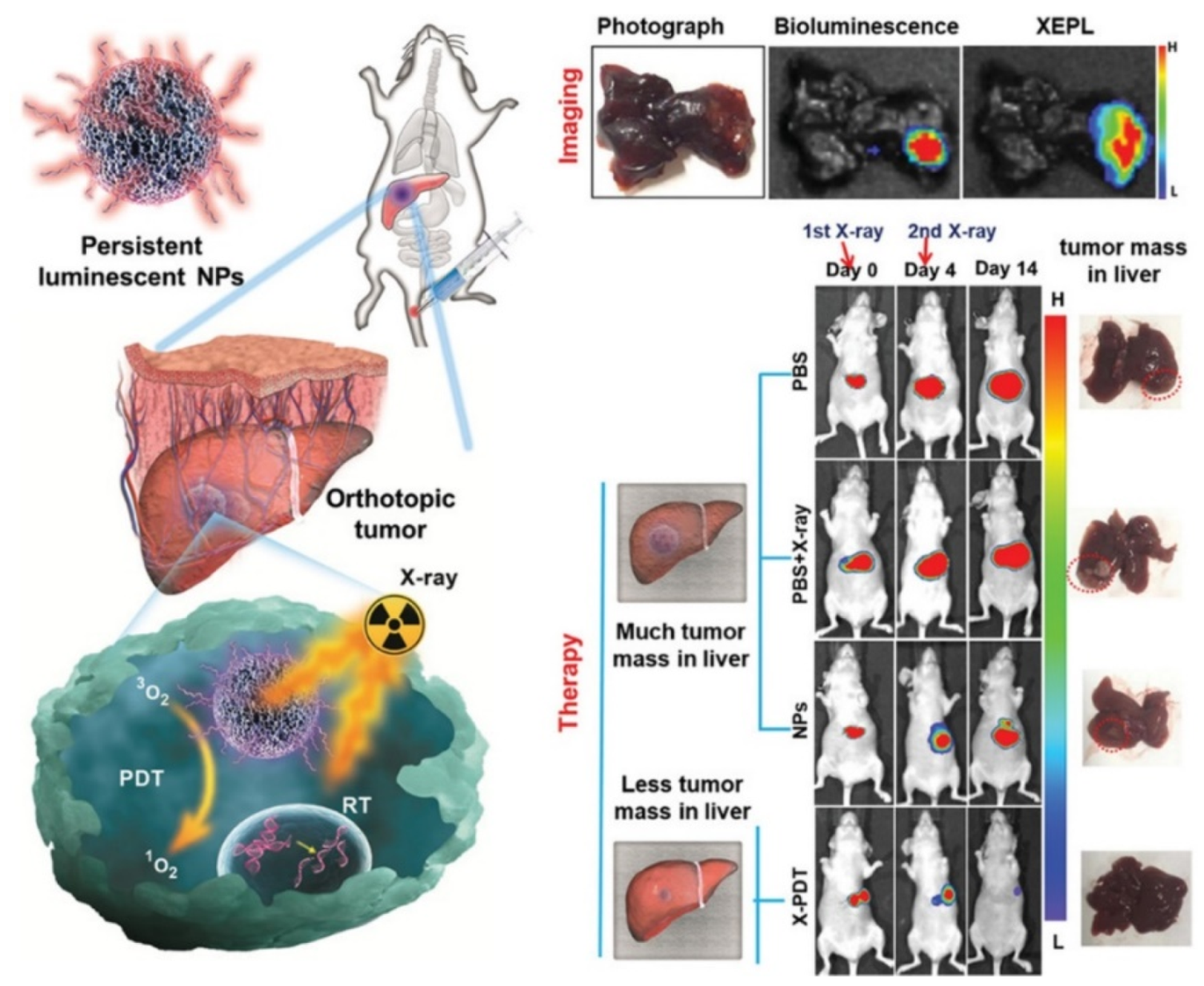 Materials 13 03795 g011
