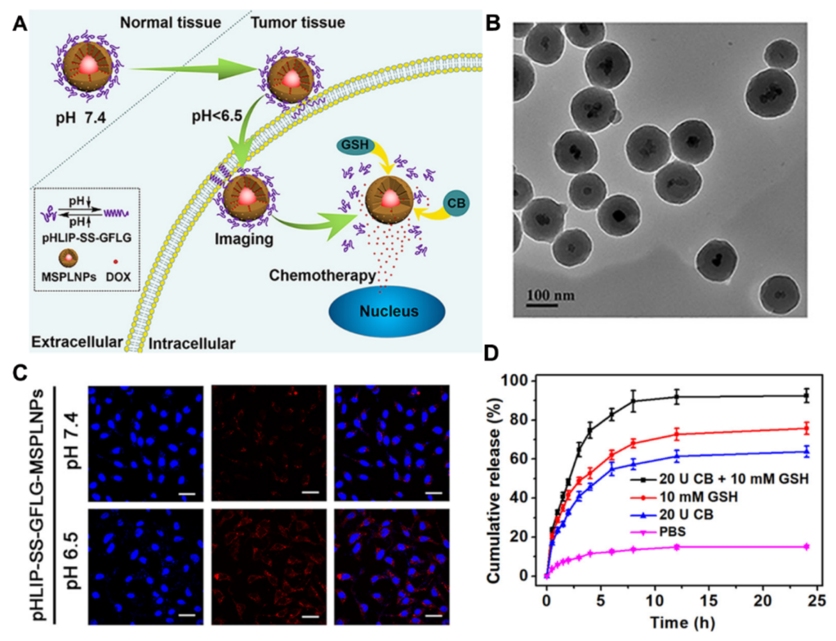 Materials 13 03795 g012