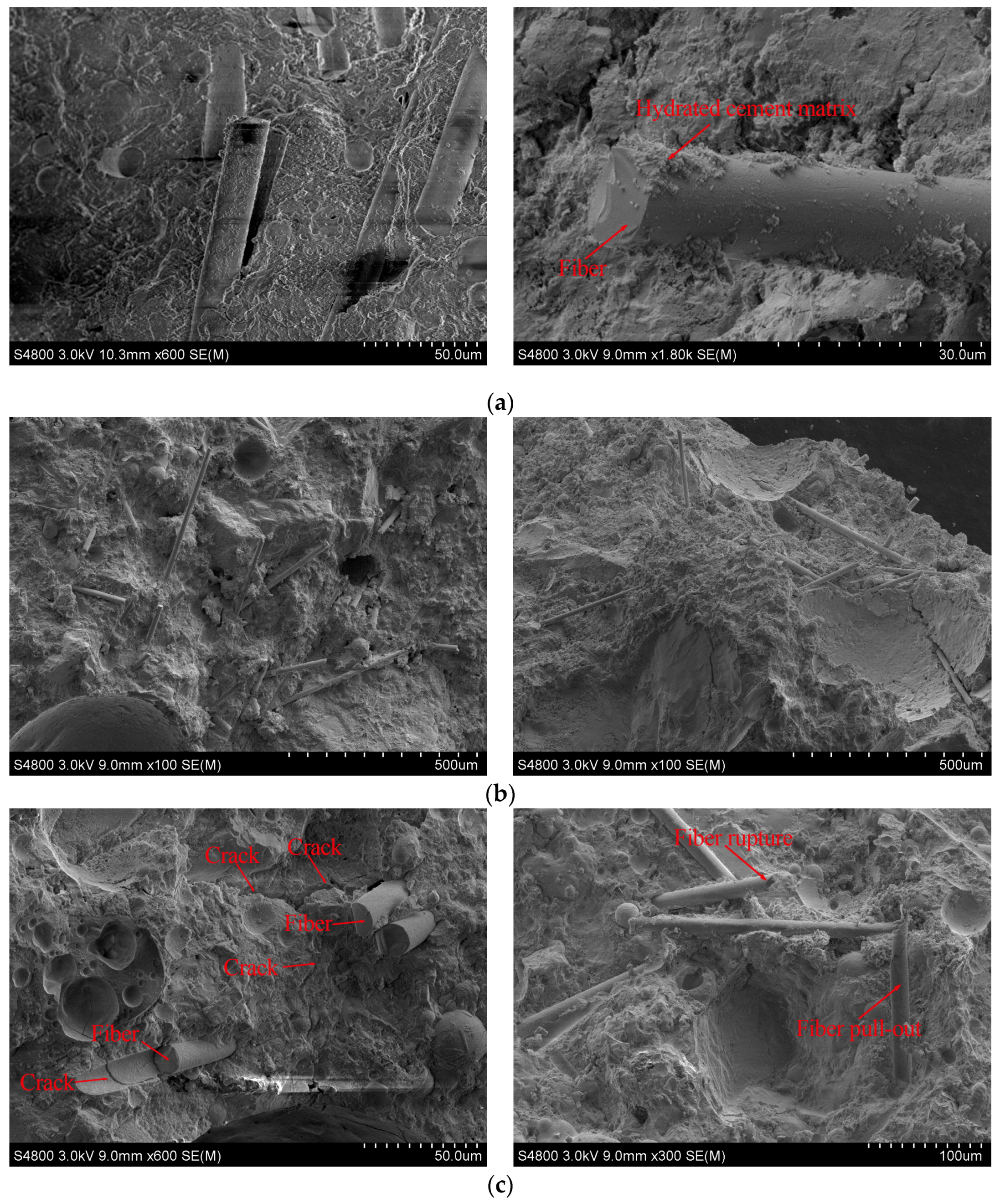 Materials 13 03796 g004