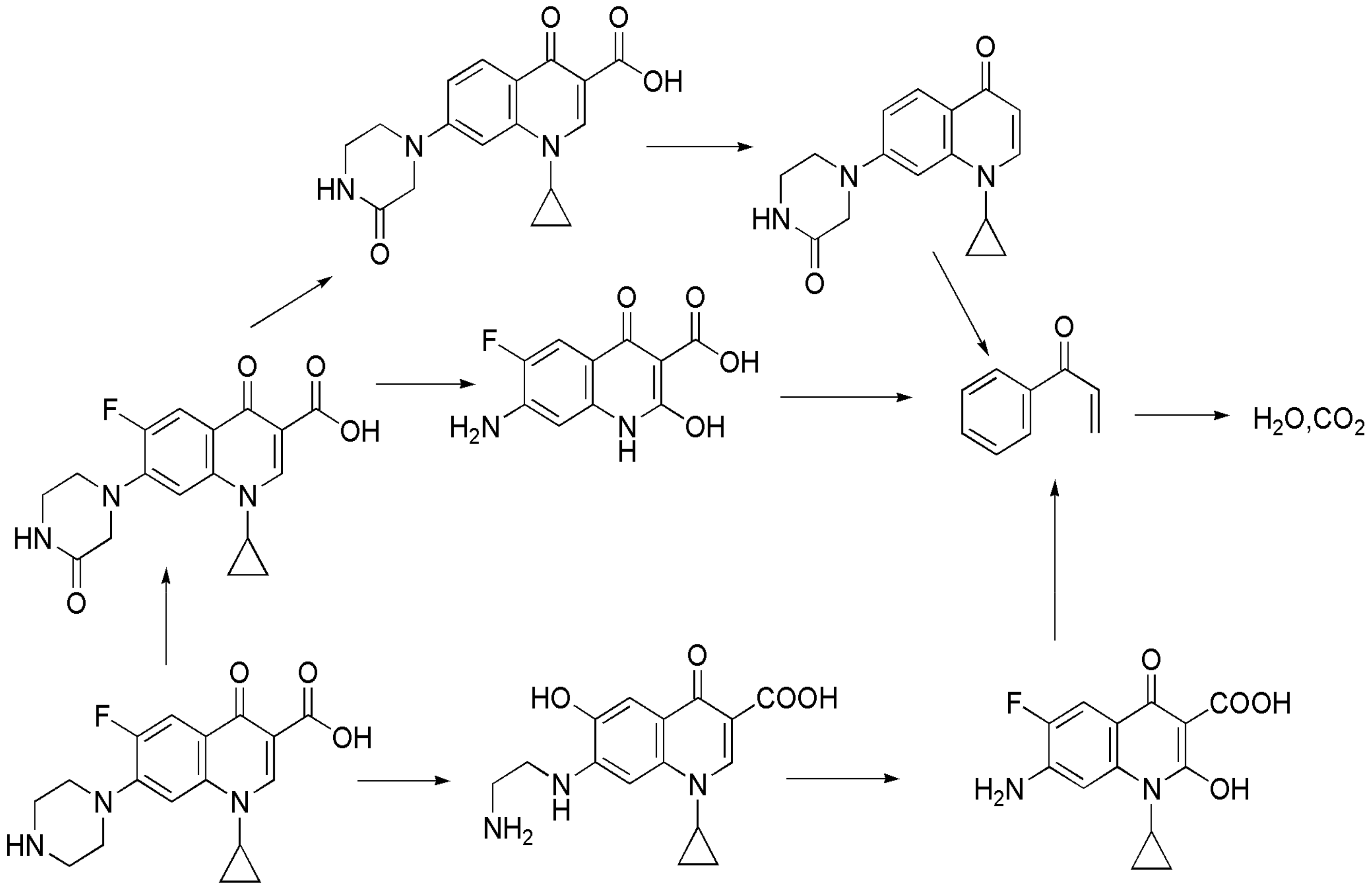 Materials 13 03811 g007 Materials 13 03811 g007