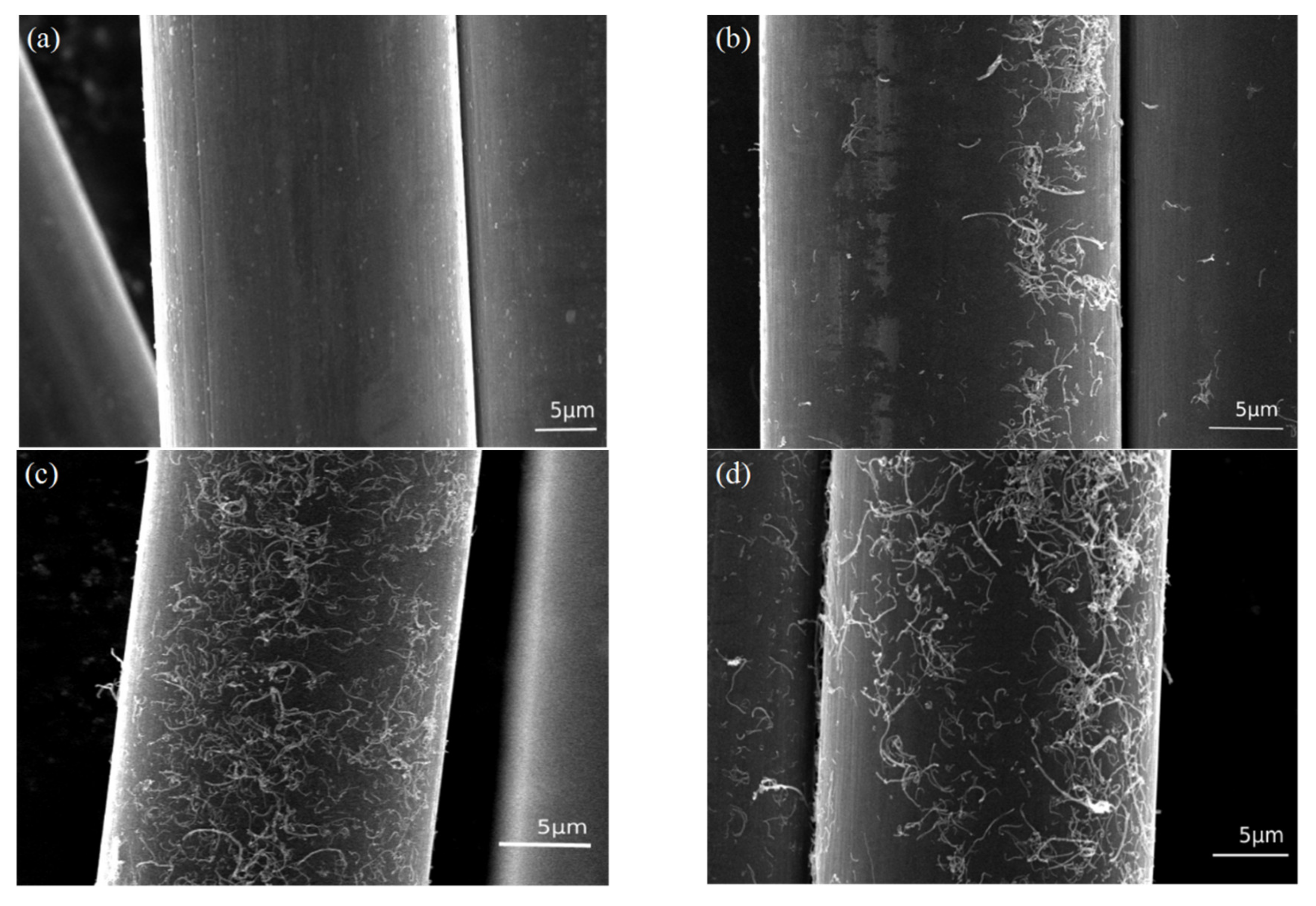 Materials 13 03813 g003 Materials 13 03813 g003