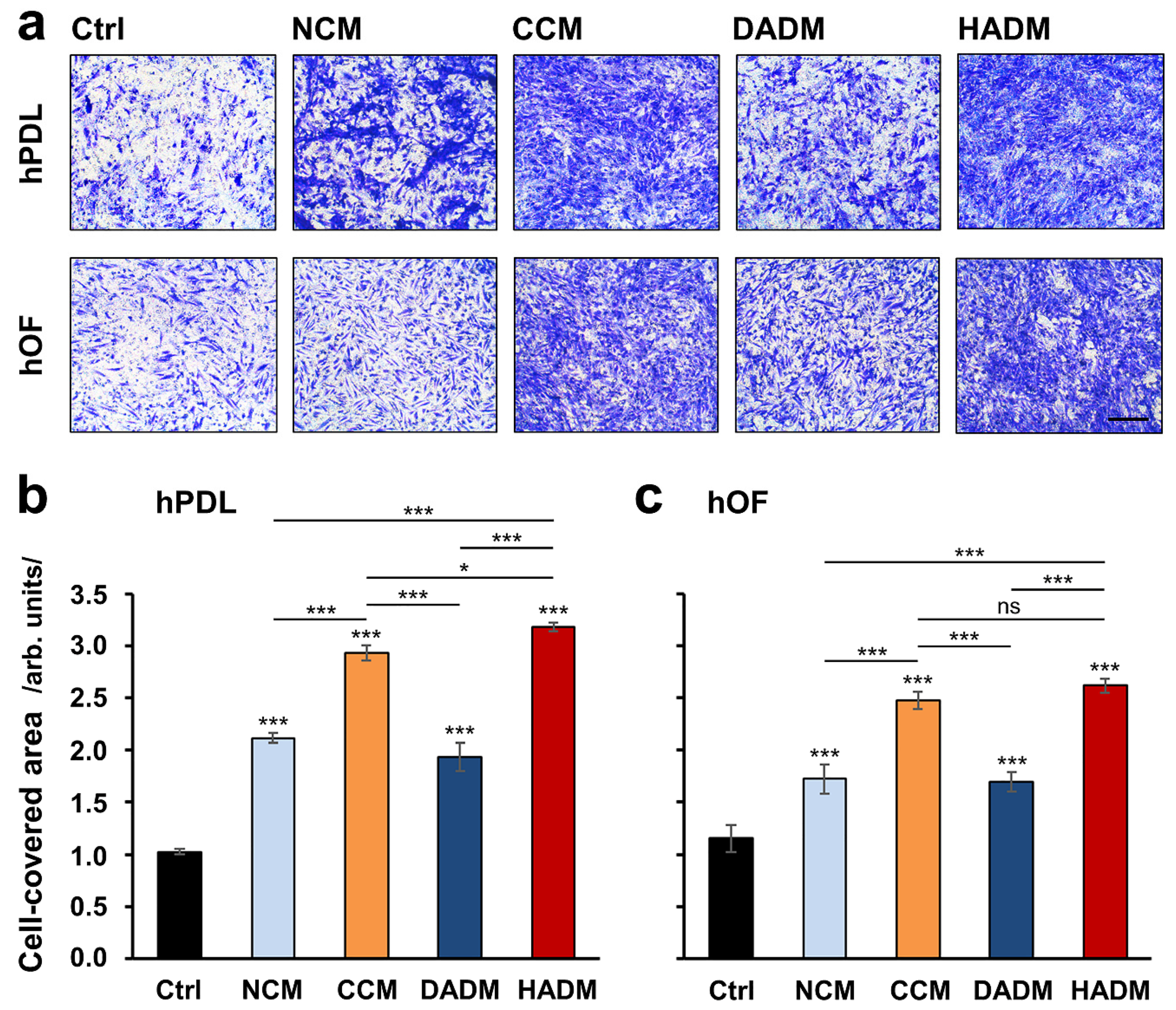 Materials 13 03819 g001 Materials 13 03819 g001