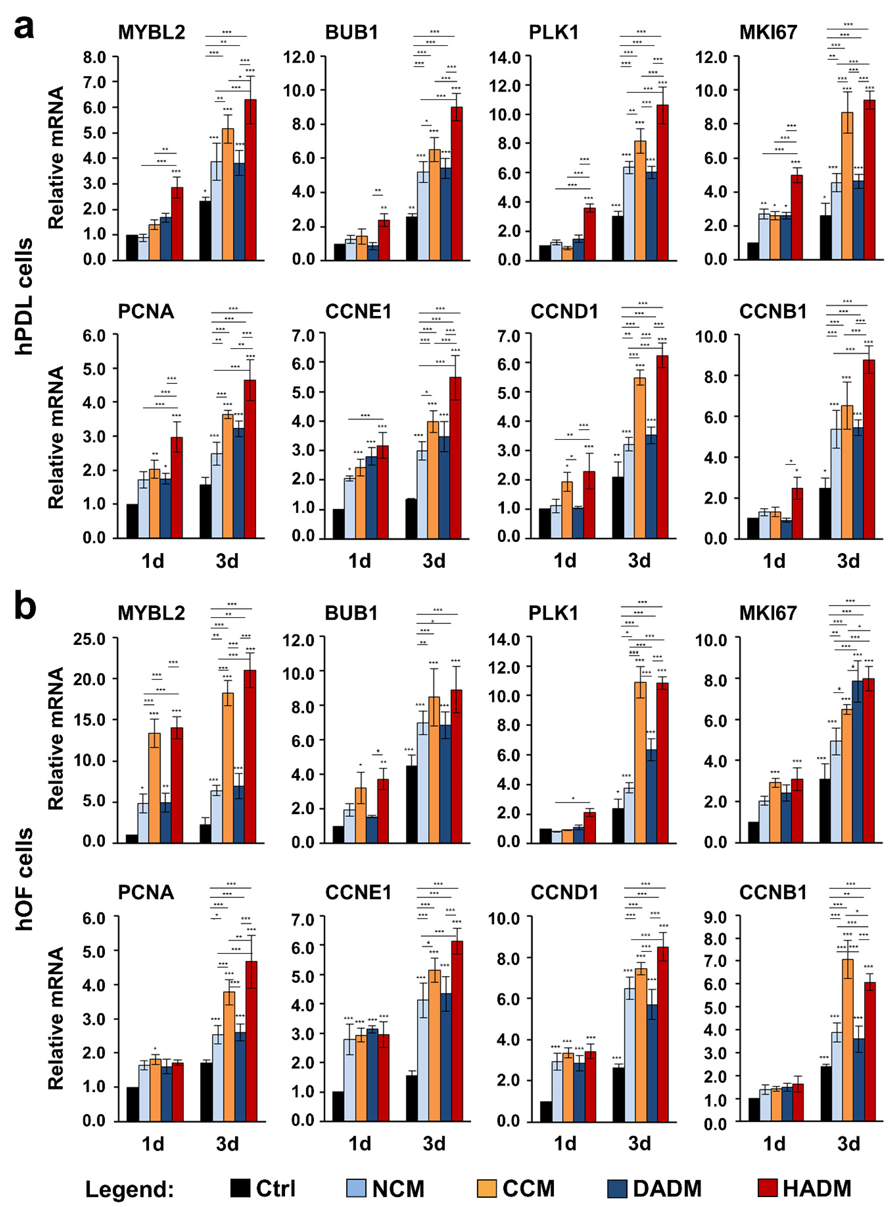 Materials 13 03819 g004 Materials 13 03819 g004
