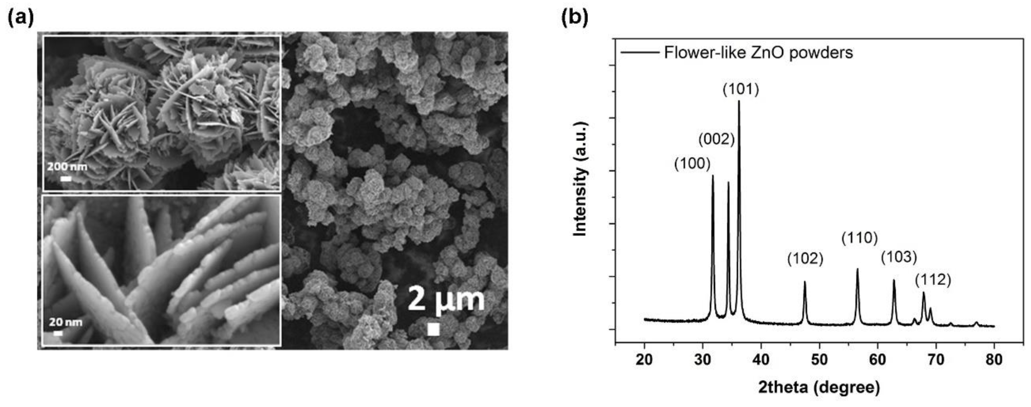 Materials 13 03821 g001 Materials 13 03821 g001