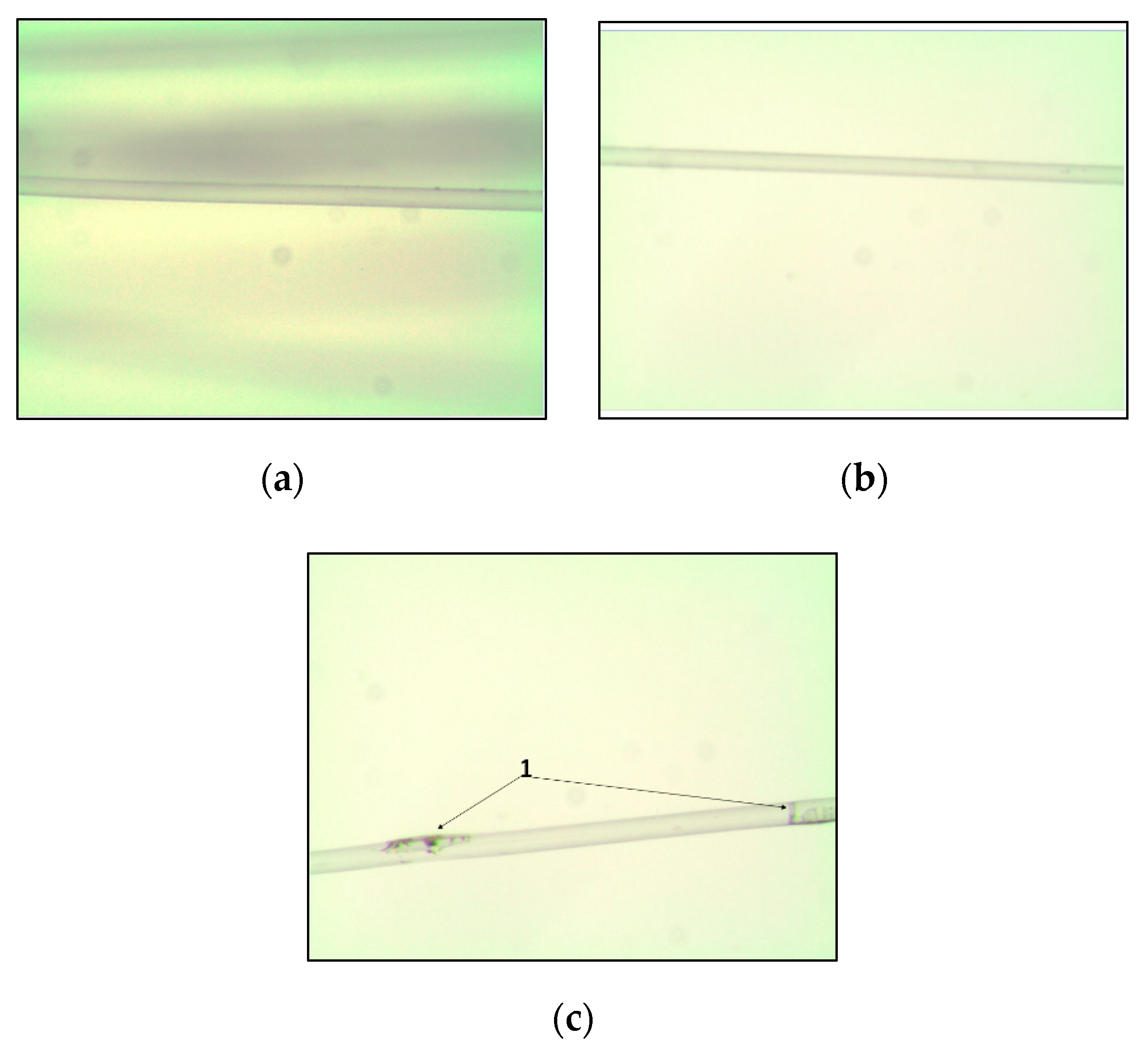 Materials 13 03824 g003 Materials 13 03824 g003