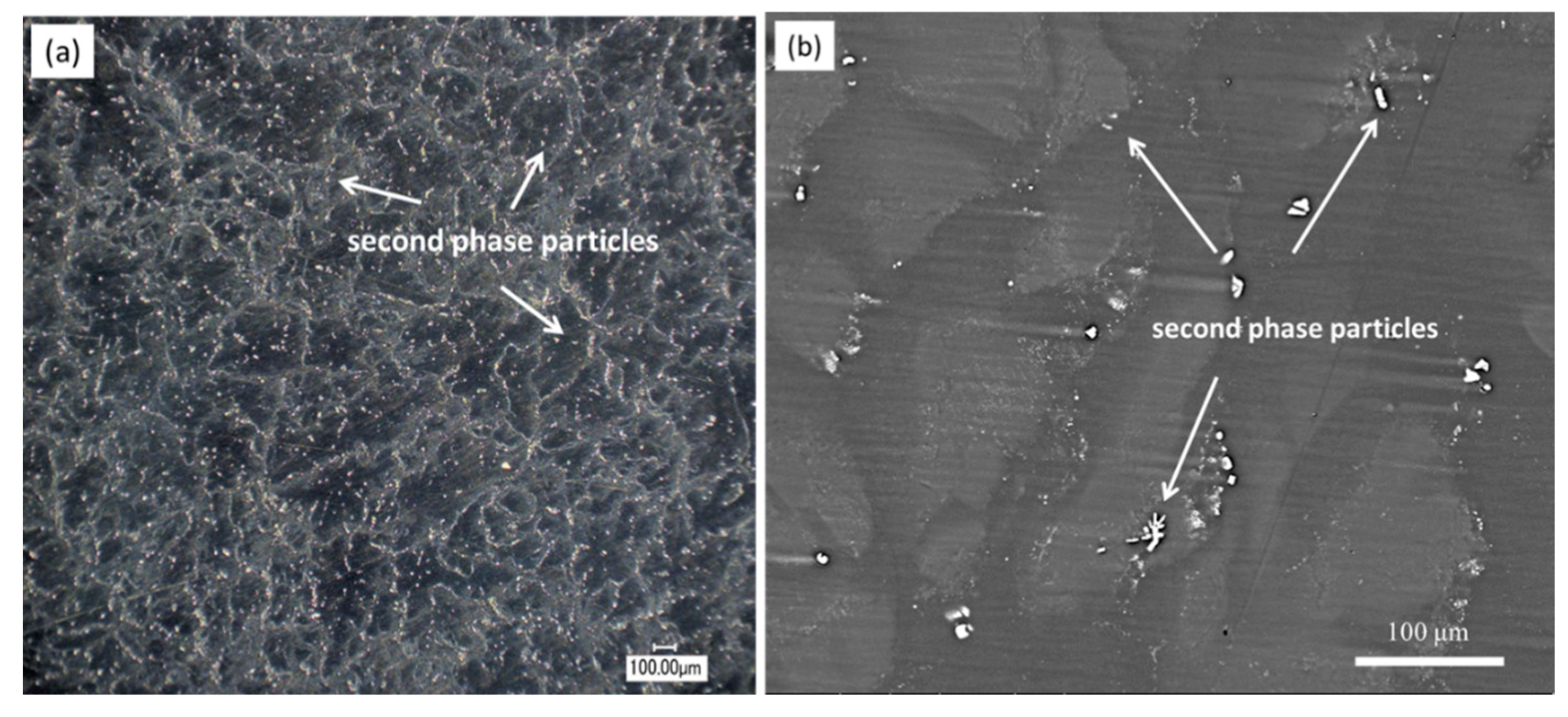 Materials 13 03833 g002 Materials 13 03833 g002