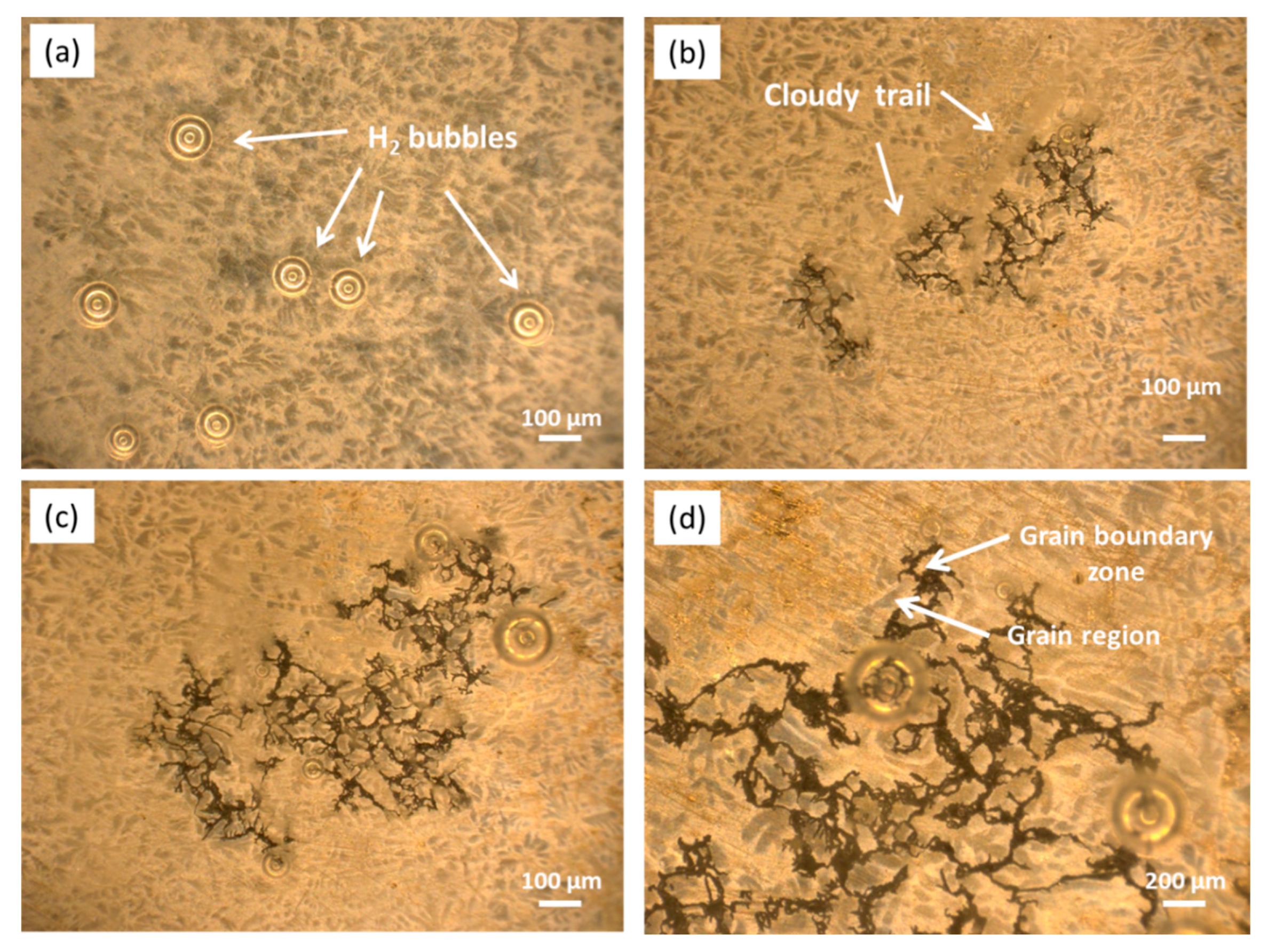 Materials 13 03833 g012 Materials 13 03833 g012