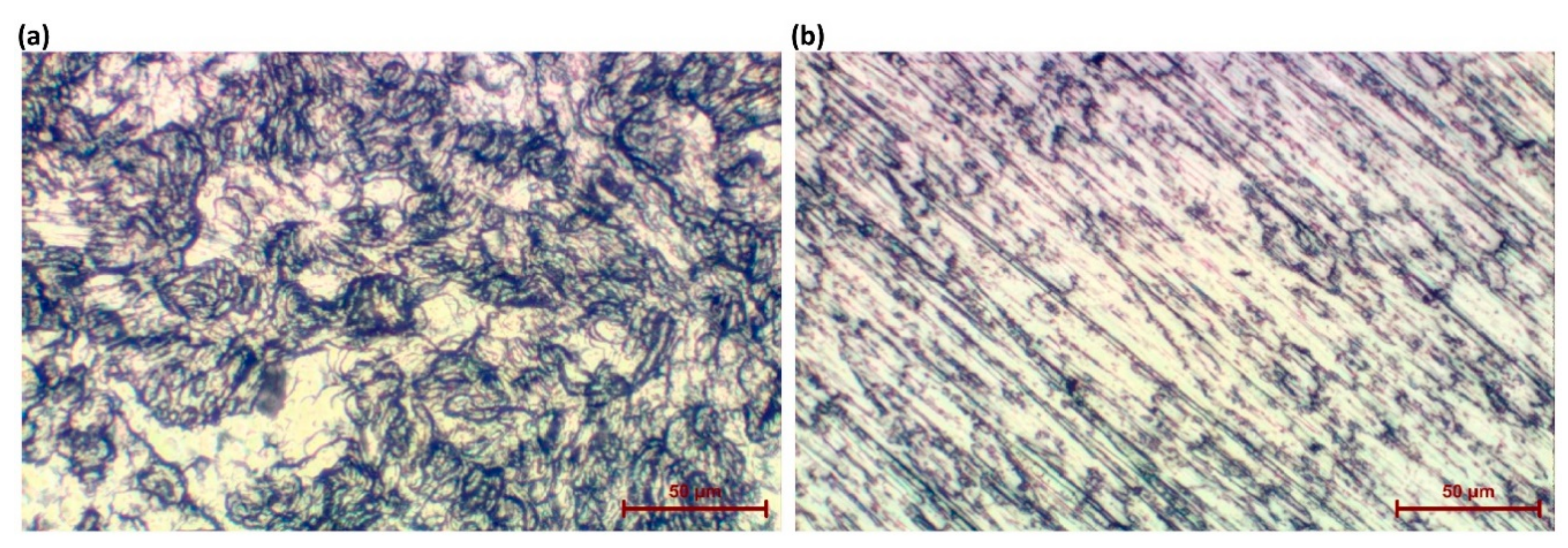 Materials 13 03838 g001 Materials 13 03838 g001