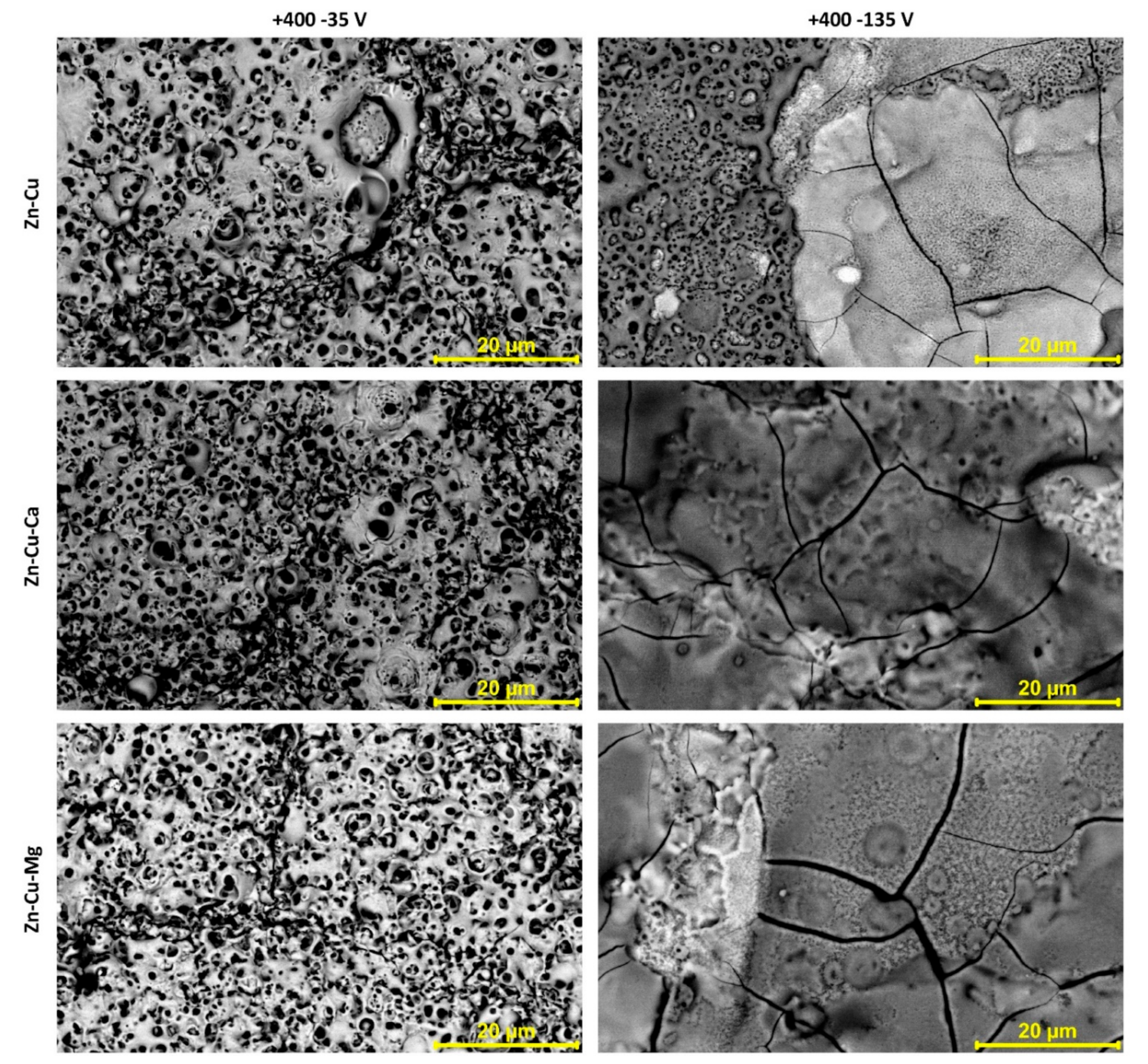 Materials 13 03838 g004 Materials 13 03838 g004