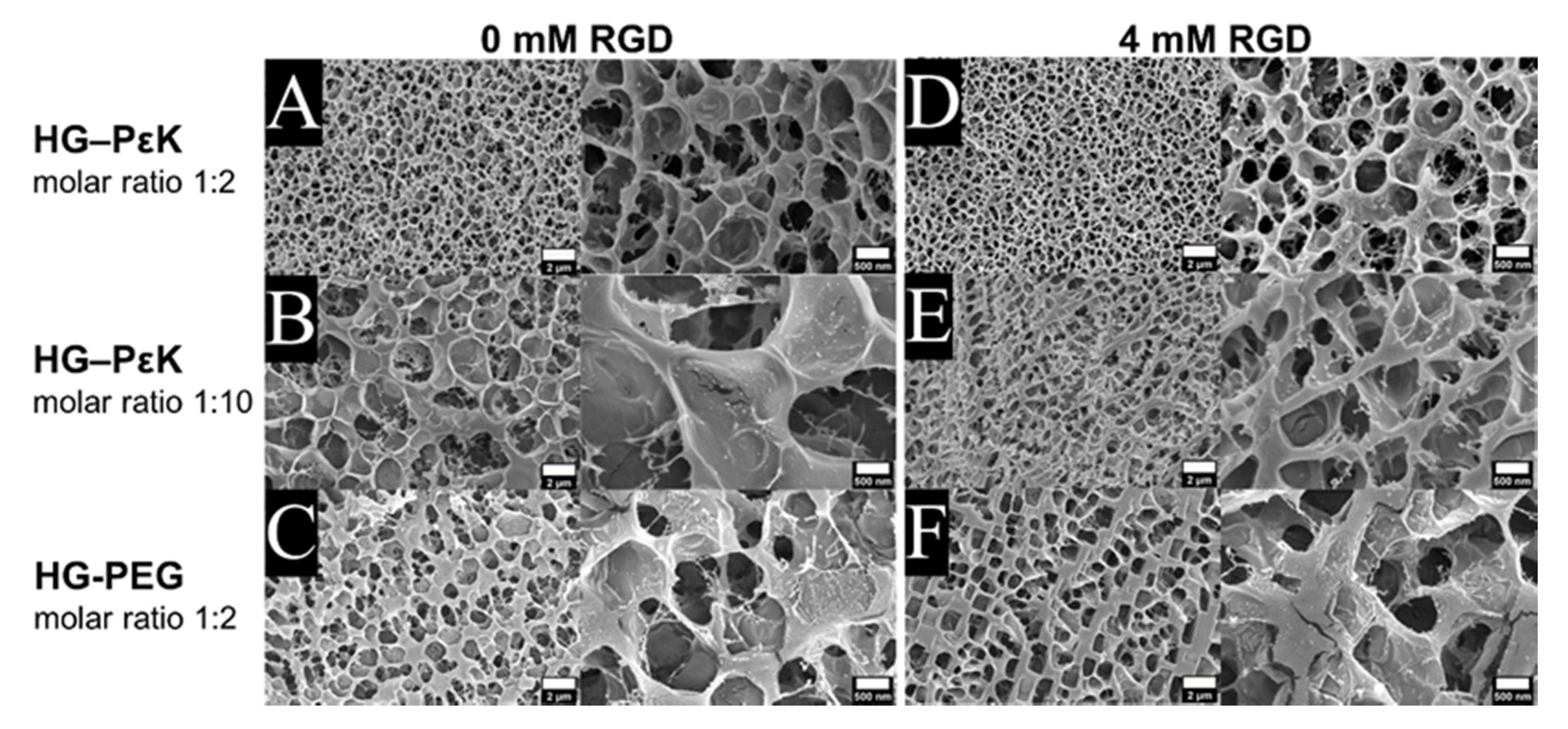 Materials 13 03851 g003 Materials 13 03851 g003