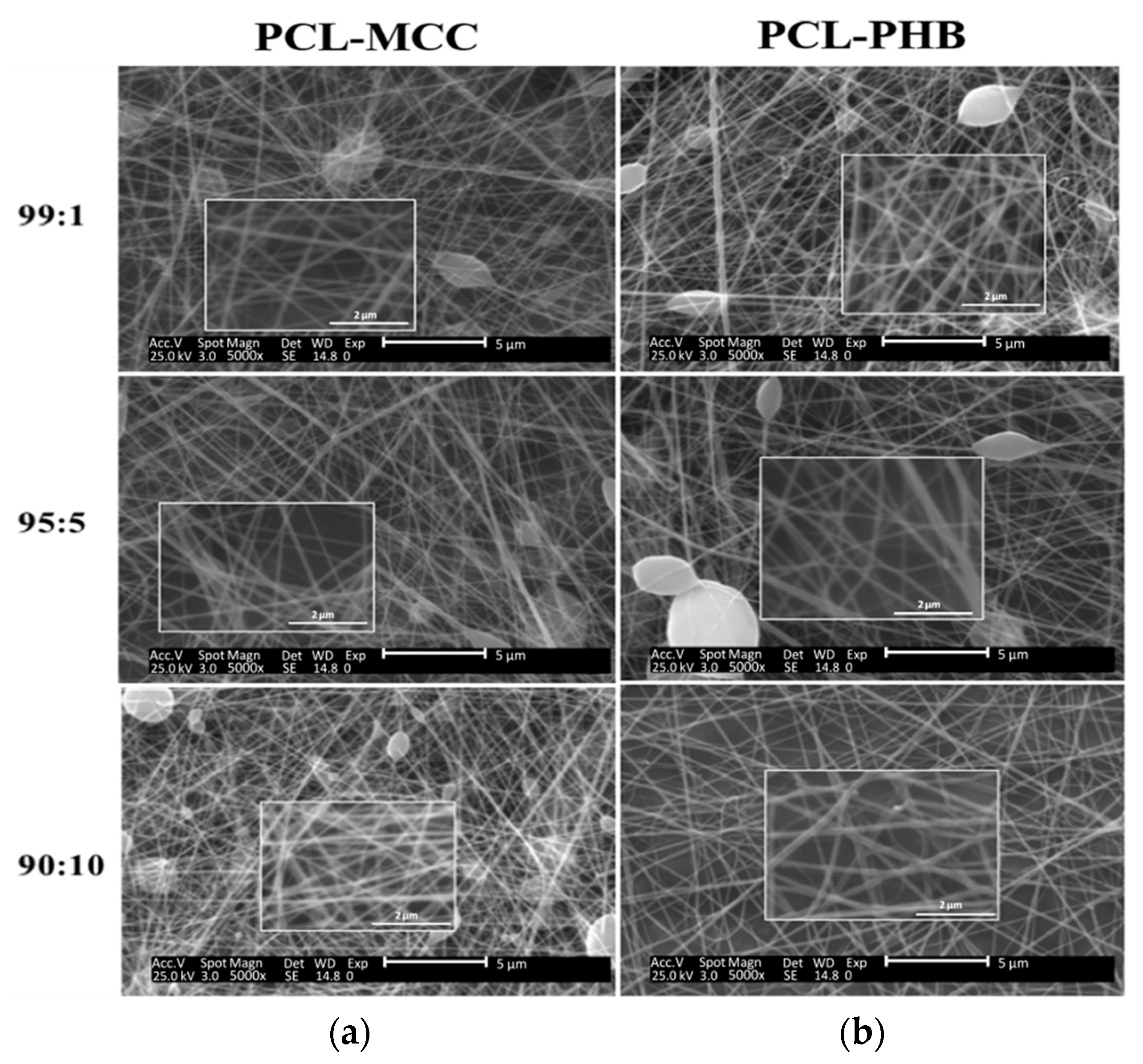 Materials 13 03853 g003 Materials 13 03853 g003