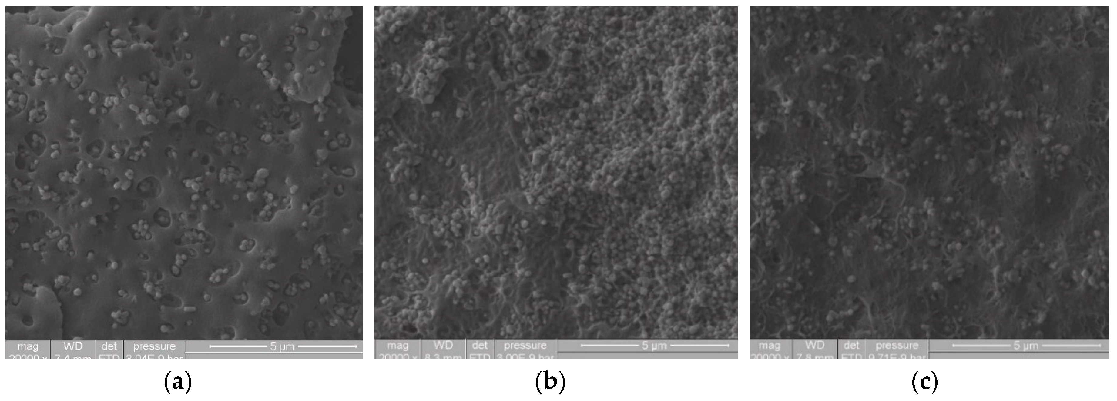 Materials 13 03855 g002 Materials 13 03855 g002