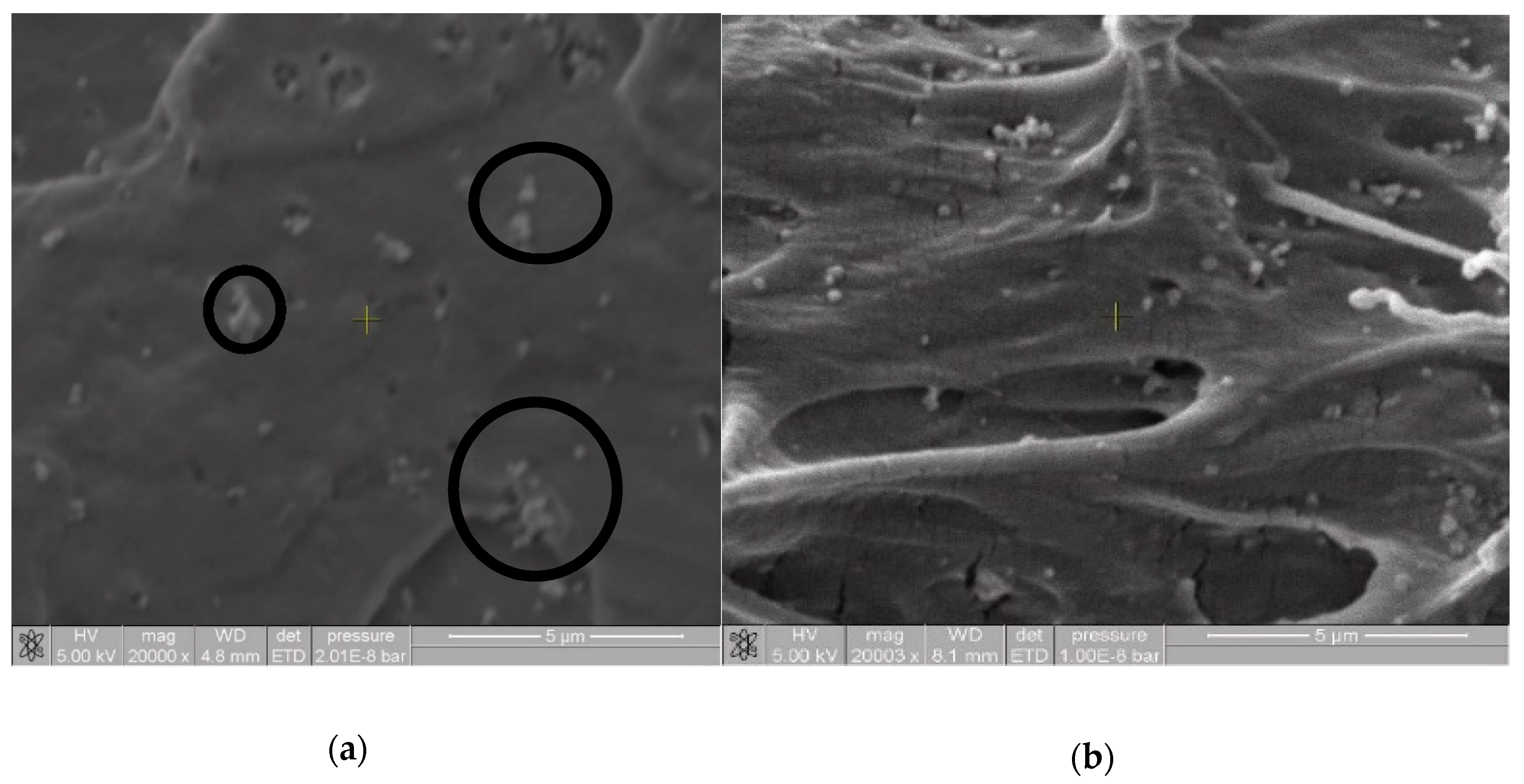 Materials 13 03855 g004 Materials 13 03855 g004