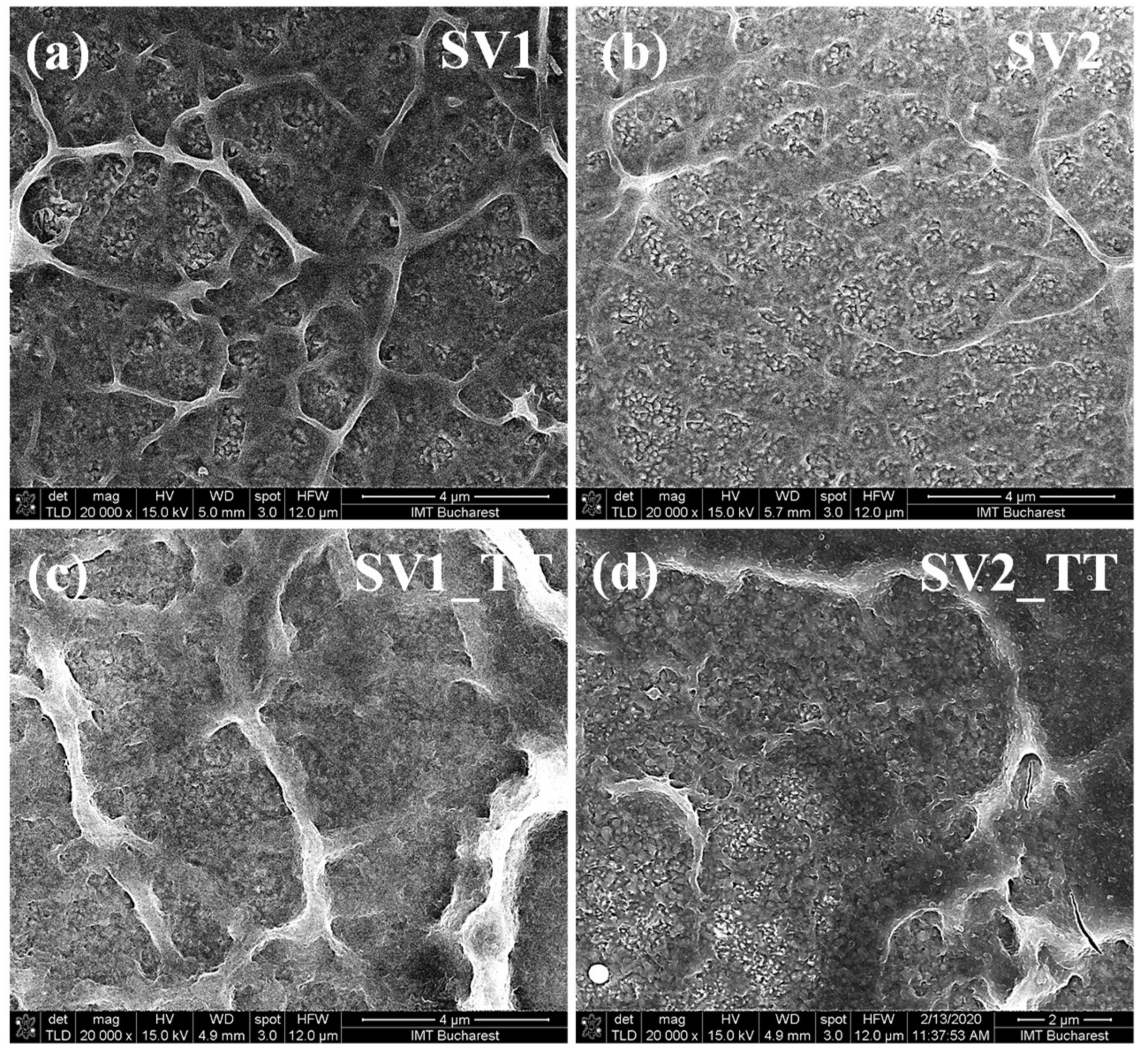 Materials 13 03859 g001