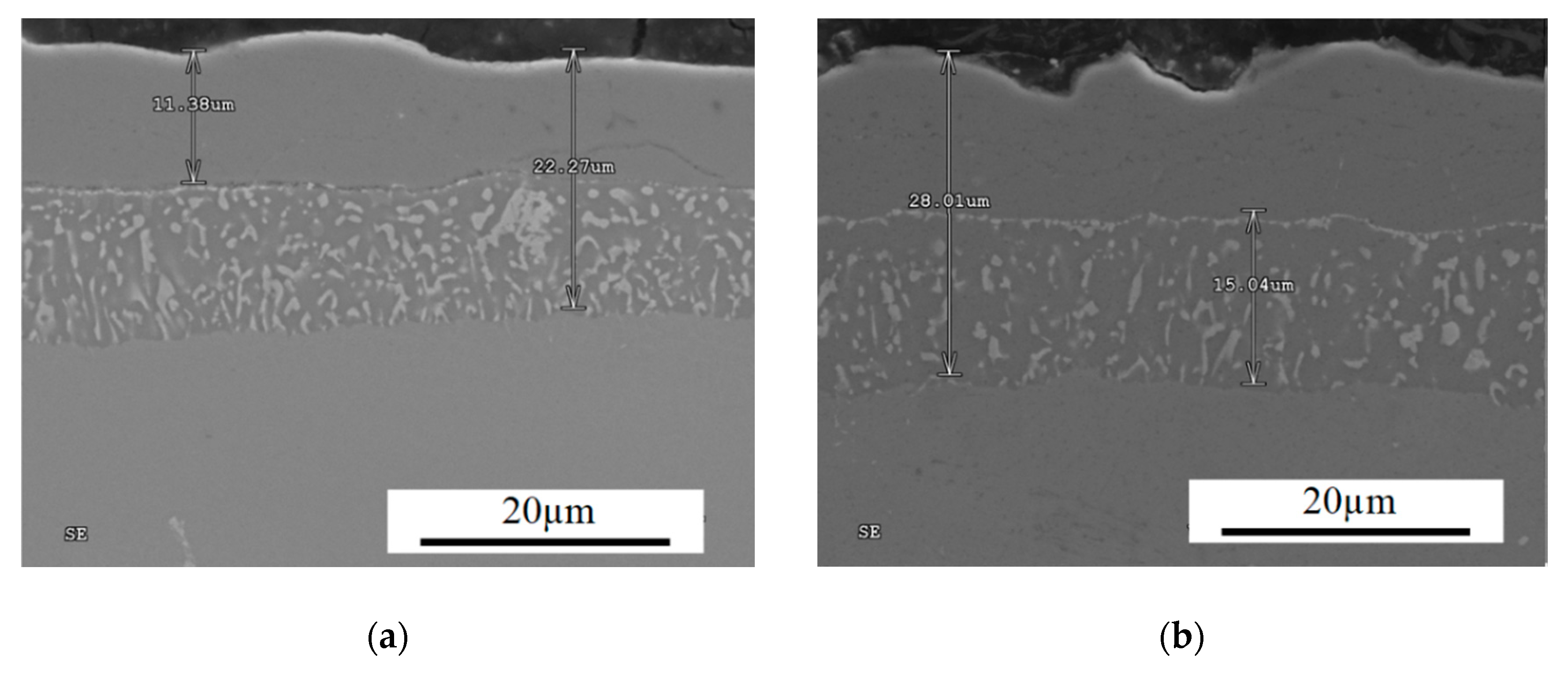 Materials 13 03863 g006