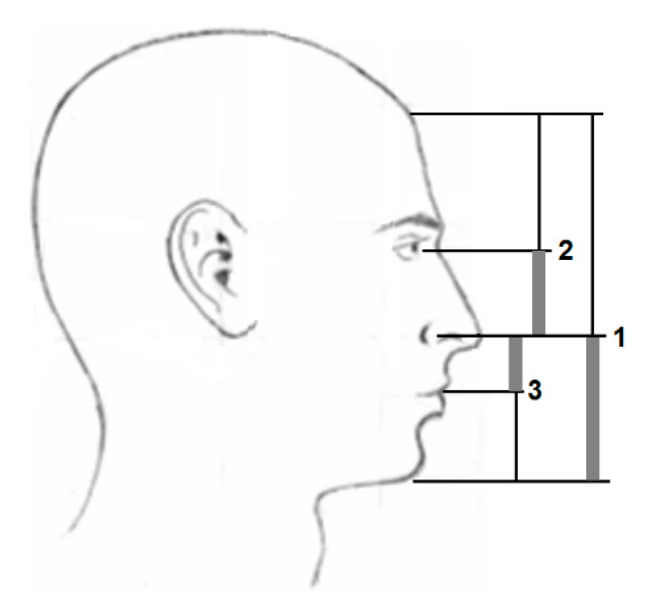 Materials 13 03867 g013