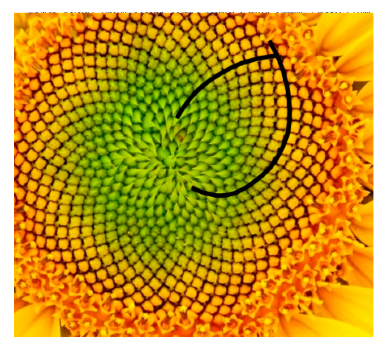 Materials 13 03867 g020