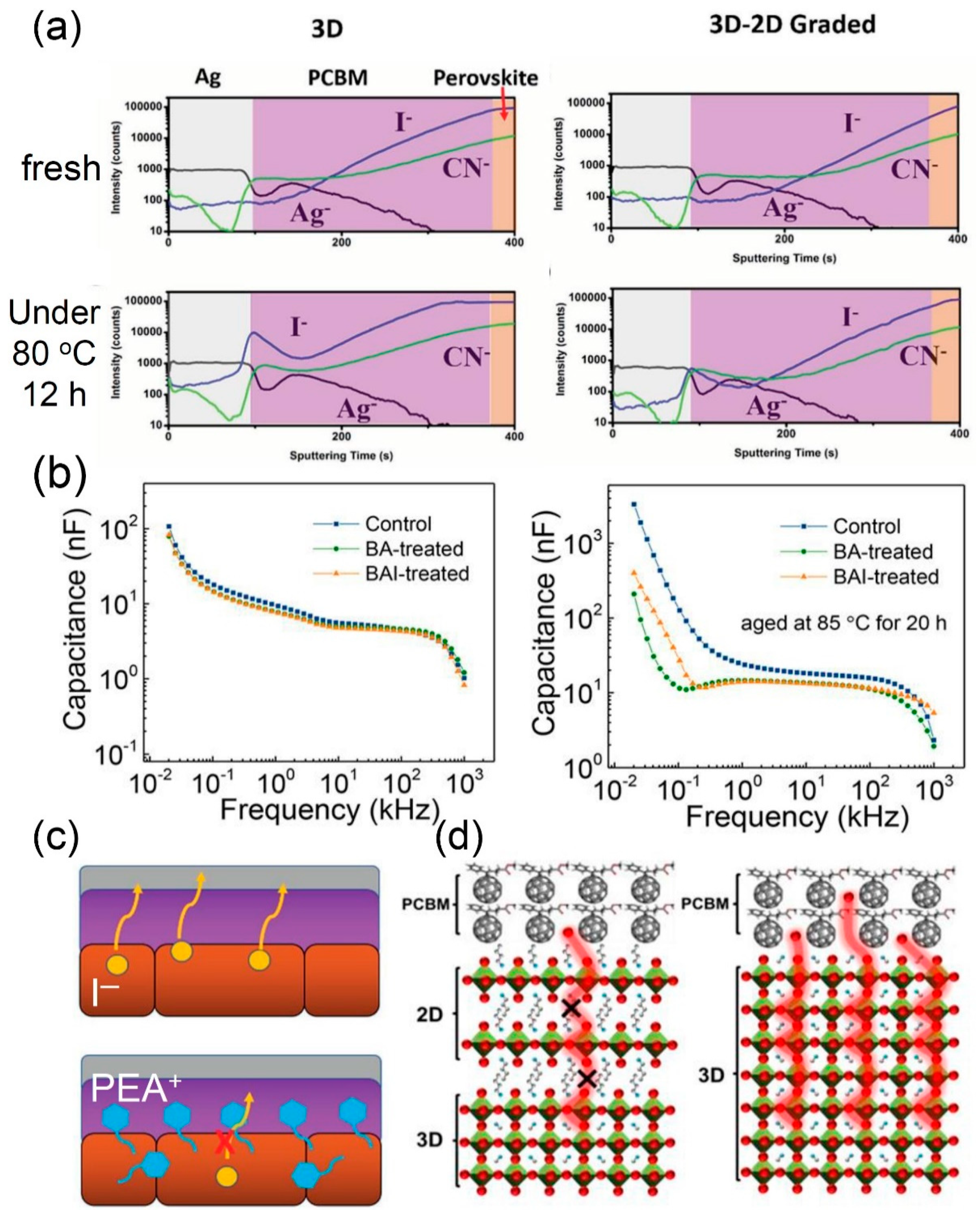 Materials 13 03868 g009 Materials 13 03868 g009